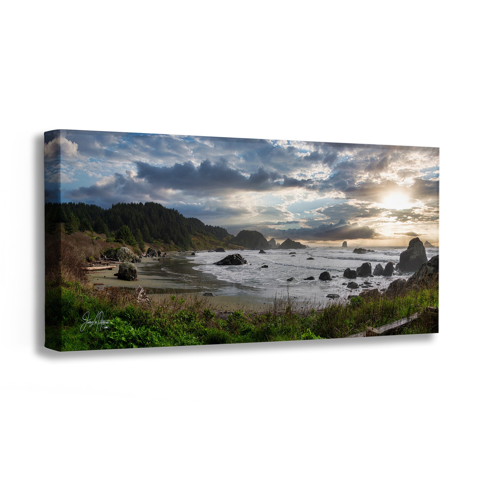 Canvas print of a coastal landscape with trees, rocks, and a sunset.