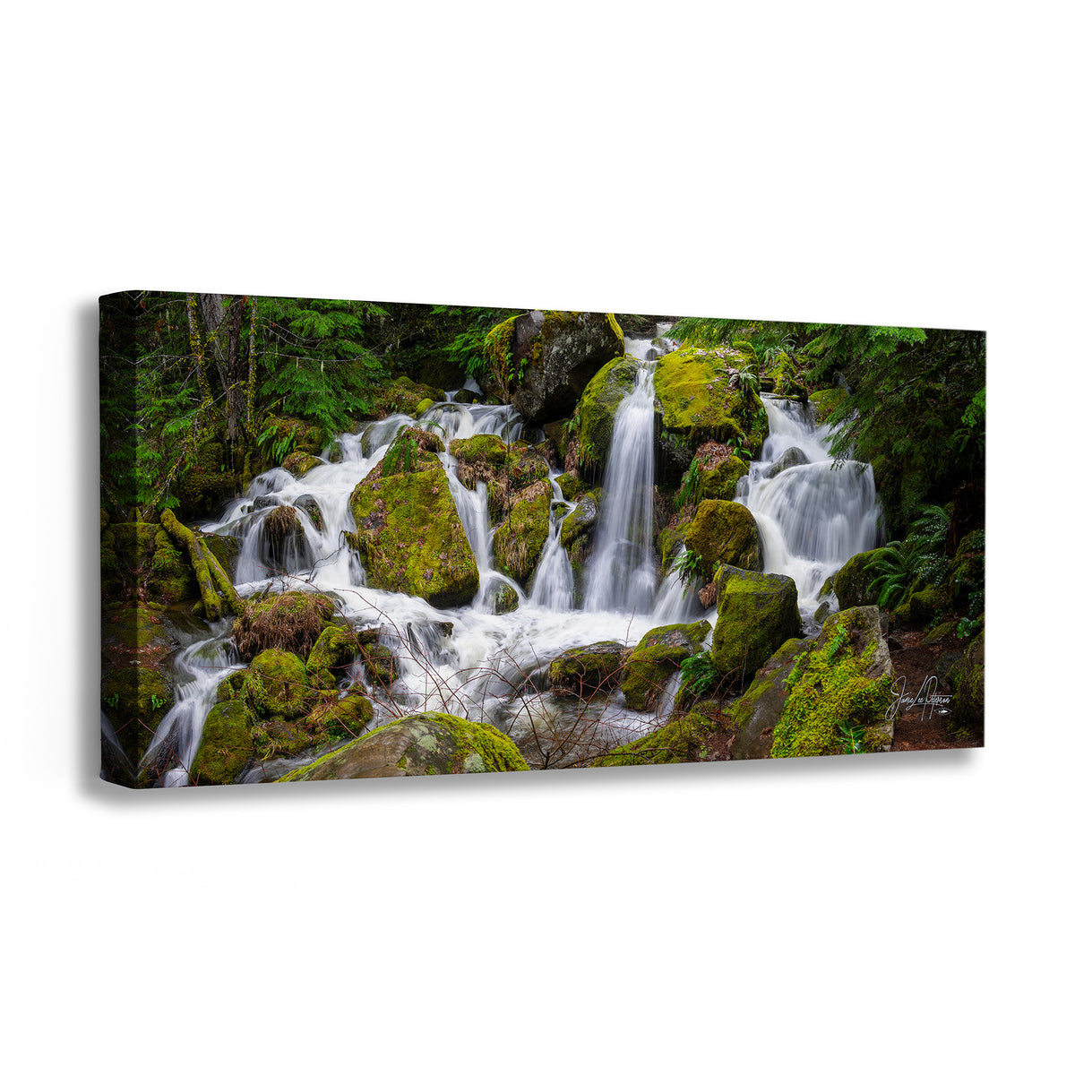 An Oregon waterfall panorama print showing a mossy waterfall cascading over mossy rocks in a forest, photographed against a plain white background.