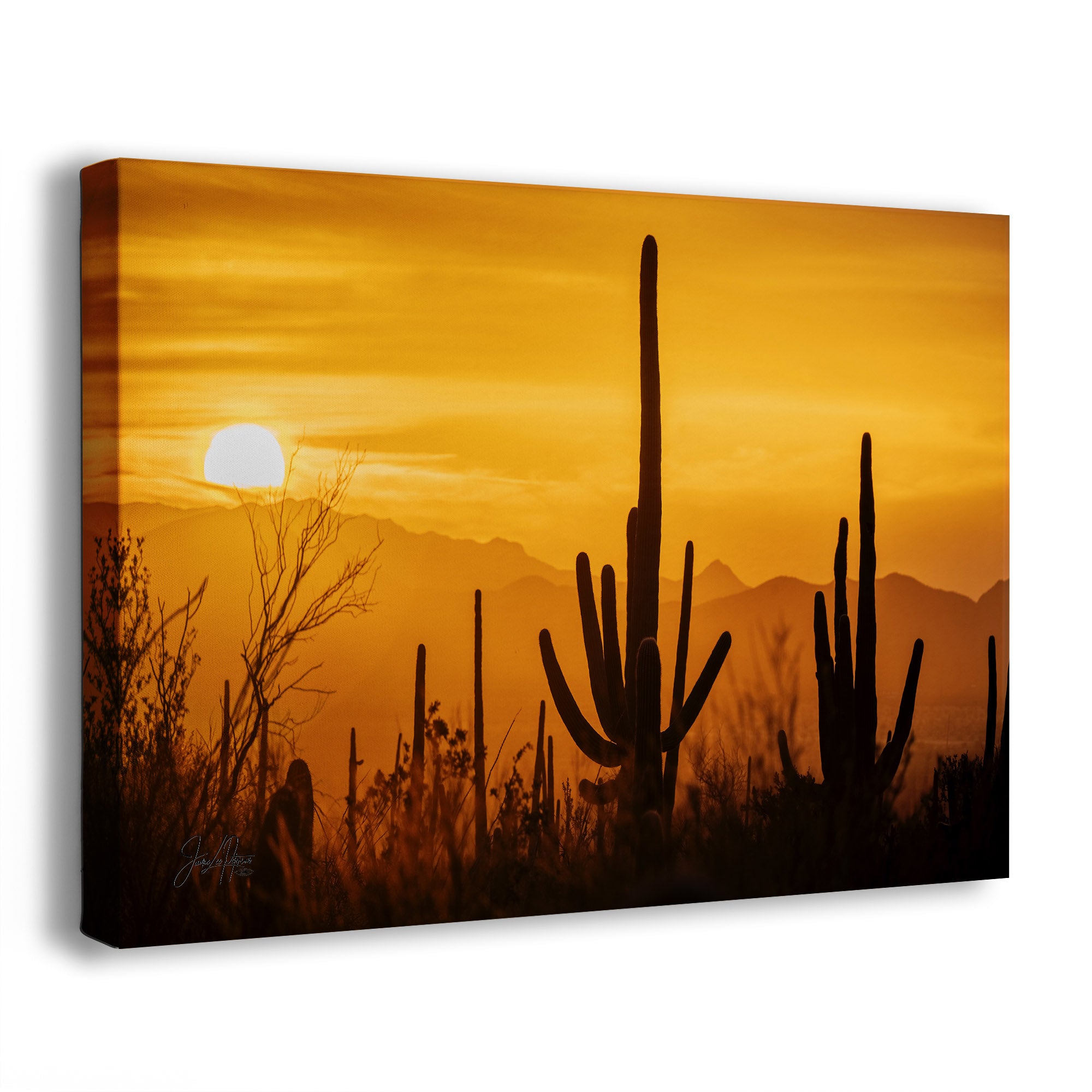 A side view of a canvas print of a desert landscape sunset of cactus shilouettes in Saguaro National Park, Arizona.