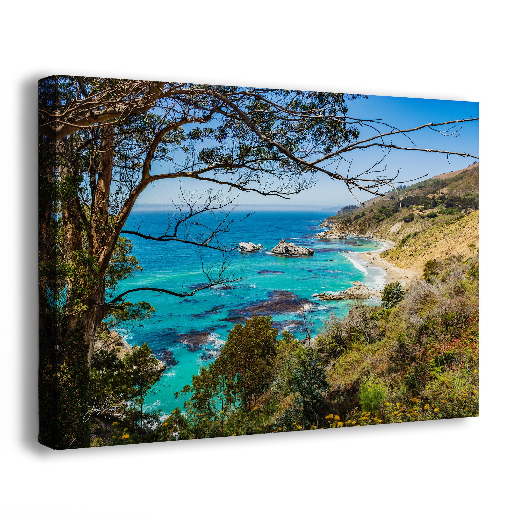 Canvas print of a Big Sur, California coastal landscape with turquoise blue water, eucalyptus trees and a clear blue sky.