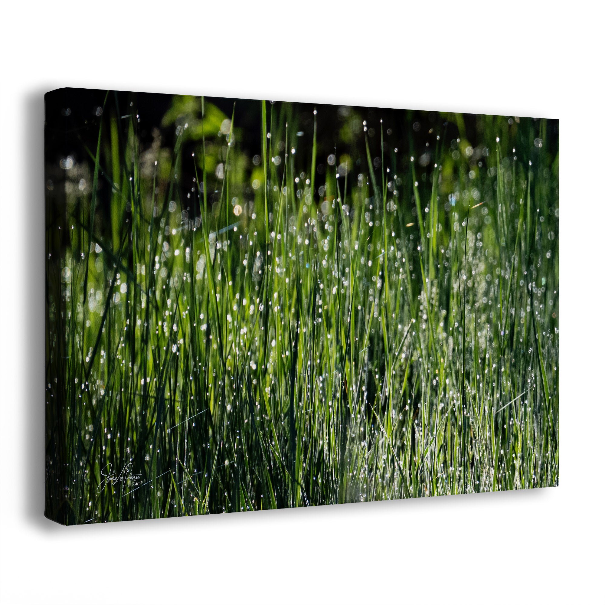 A rectangular canvas wall art print showing a close-up photograph of green grass with dewdrops, photographed at an angle against a clean white background.