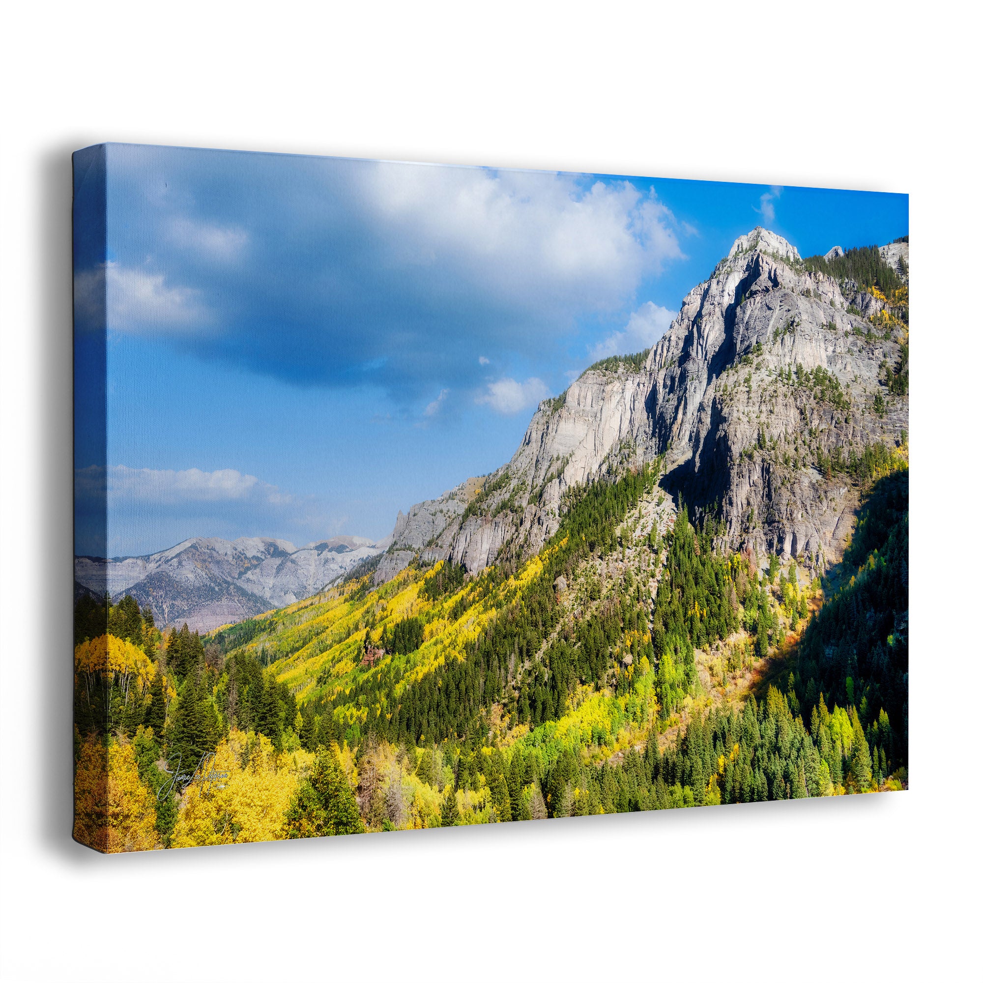 Canvas print of a Colorado mountain landscape with yellow aspen trees, green pine trees, and blue sky.