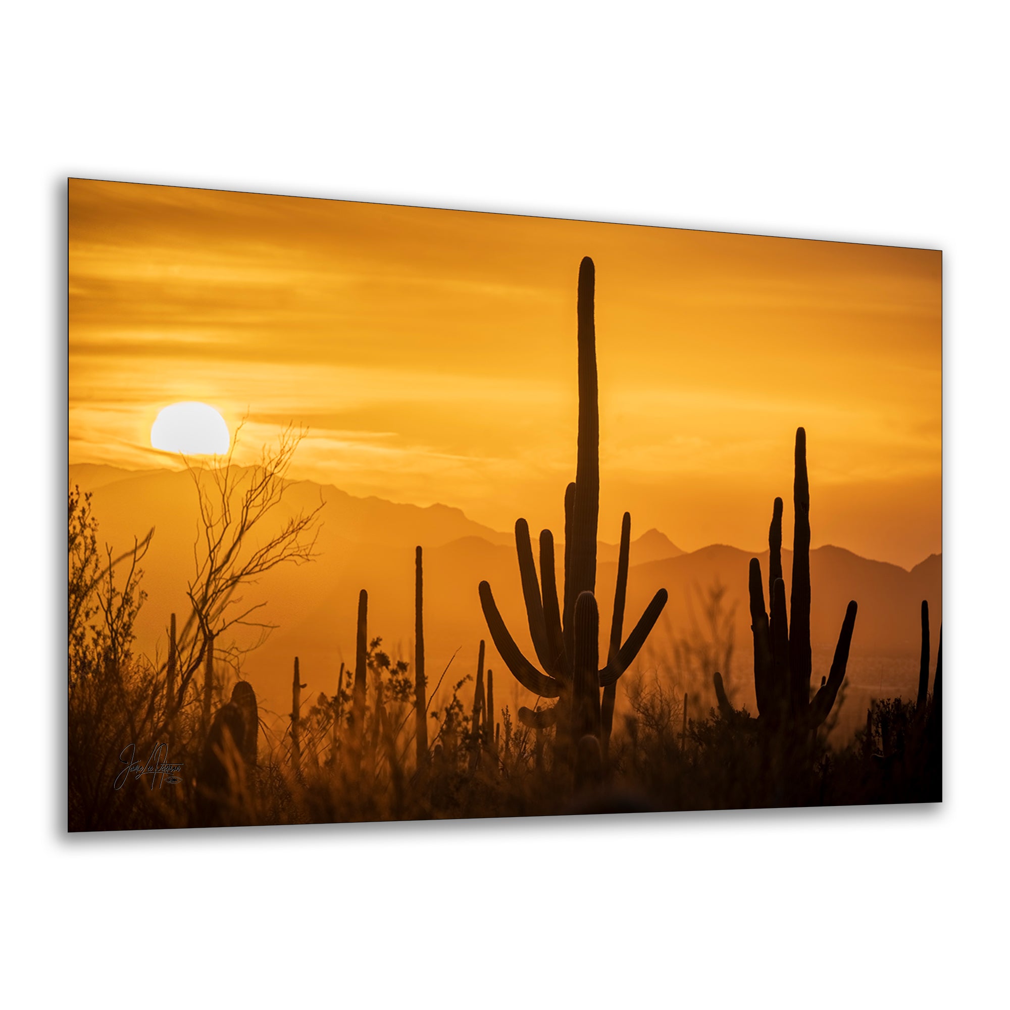 Saguaro National Park Arizona Desert Picture Nature Photo Silhouette, Bohemian Style Relaxation Artwork, Southwestern Sonoran Desert House Decor