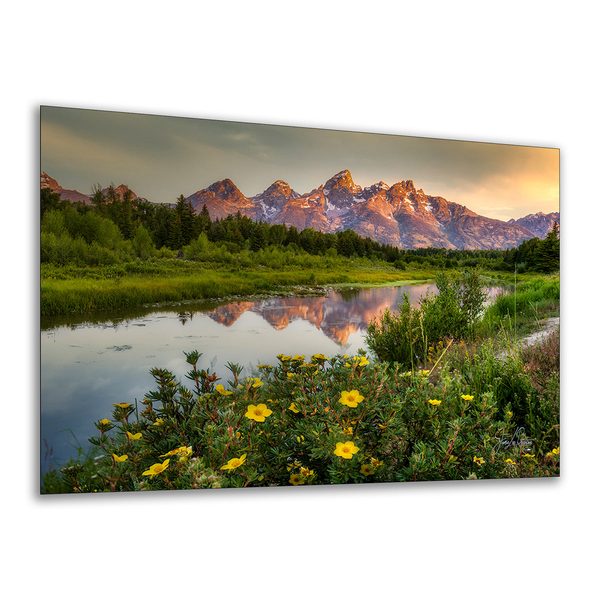 A rectangular wall art print of the Grand Teton Mountains in Wyoming, featuring a mountain landscape with a reflective river, green trees and grass, and yellow wildflowers in the foreground, photographed against a plain white background.