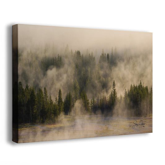 Foggy Forest Picture Forest Bathing Nature Photo, Yellowstone Misty Trees Wall Art, Cabin Decor, Canvas, Paper, Metal Prints