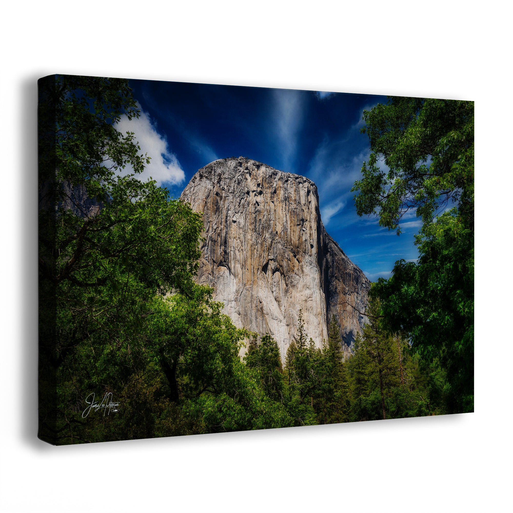 Canvas print of the Yosemite National Park mountain landscape of El Capitan framed by lush green trees and a blue sky