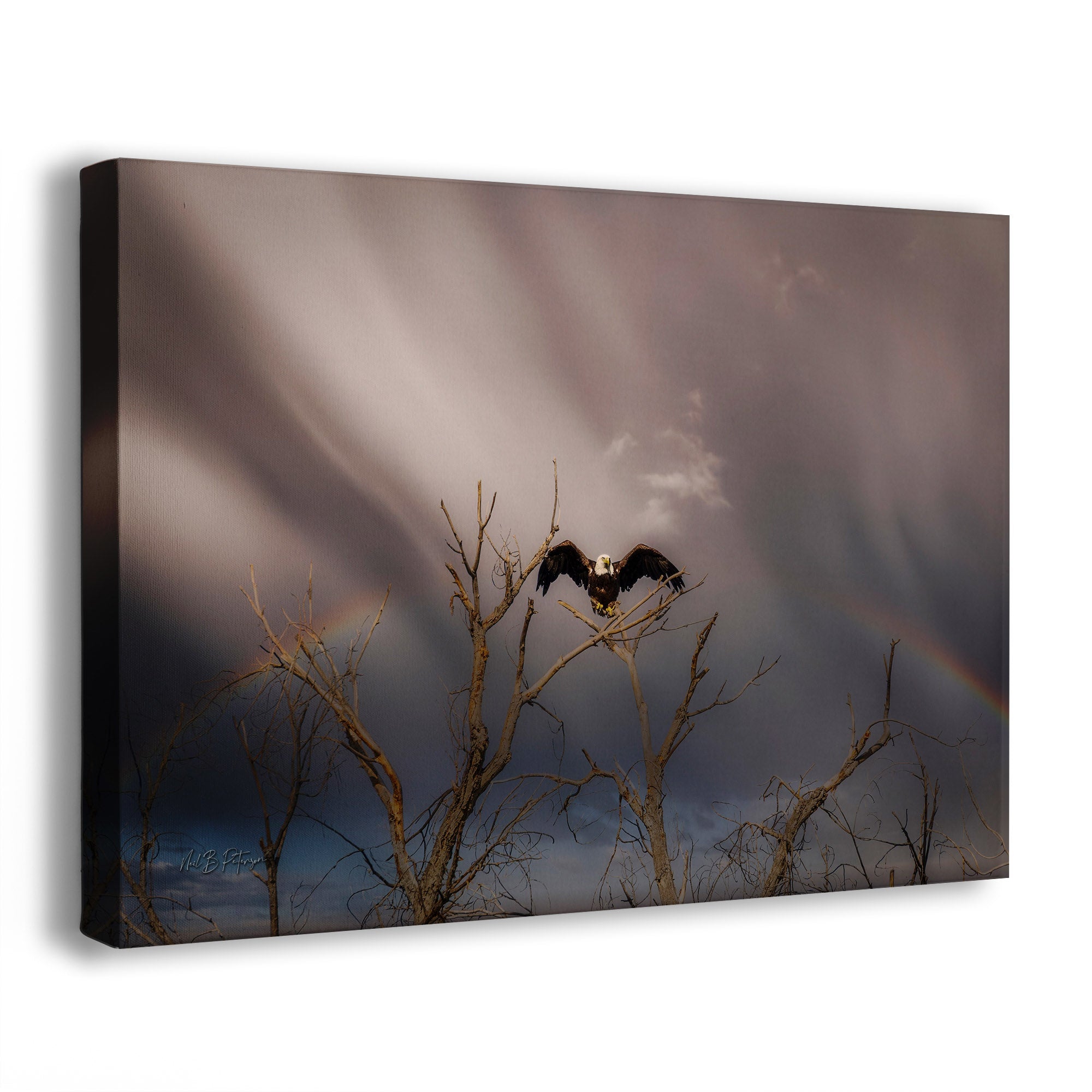 A canvas wall art print of a Bald Eagle perched on a branch with a dramatic sky and rainbow in the background.