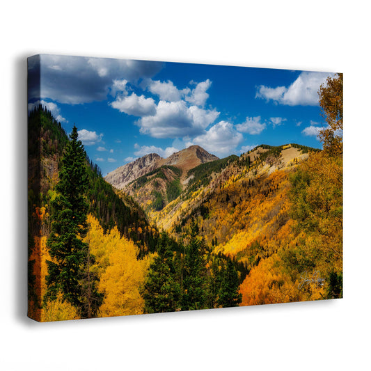 Colorado San Juan Mountains Picture, Fall Colors Nature Photo of Aspen Trees  for Relaxation Meditation and Home Decor