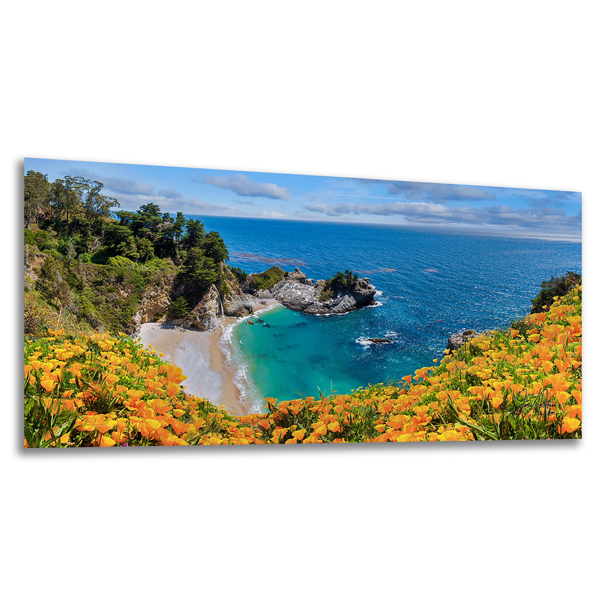 McWay Falls Wall Art Ocean Picture, Big Sur California Coastline Nature Photo