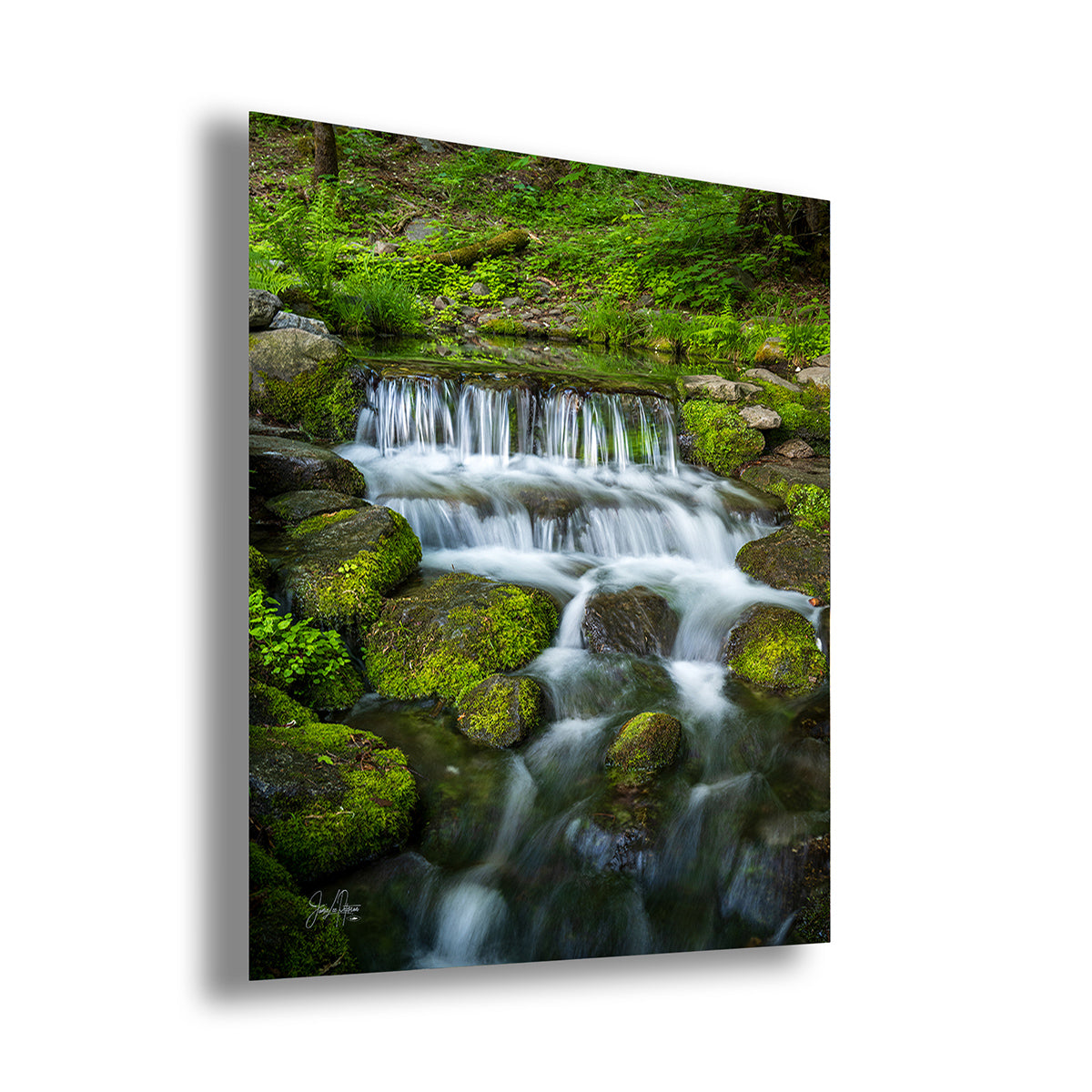 A vertical canvas wall art print depicting a lush green forest stream with a small cascading waterfall flowing over mossy rocks, shown at a three-quarter angle against a white background.