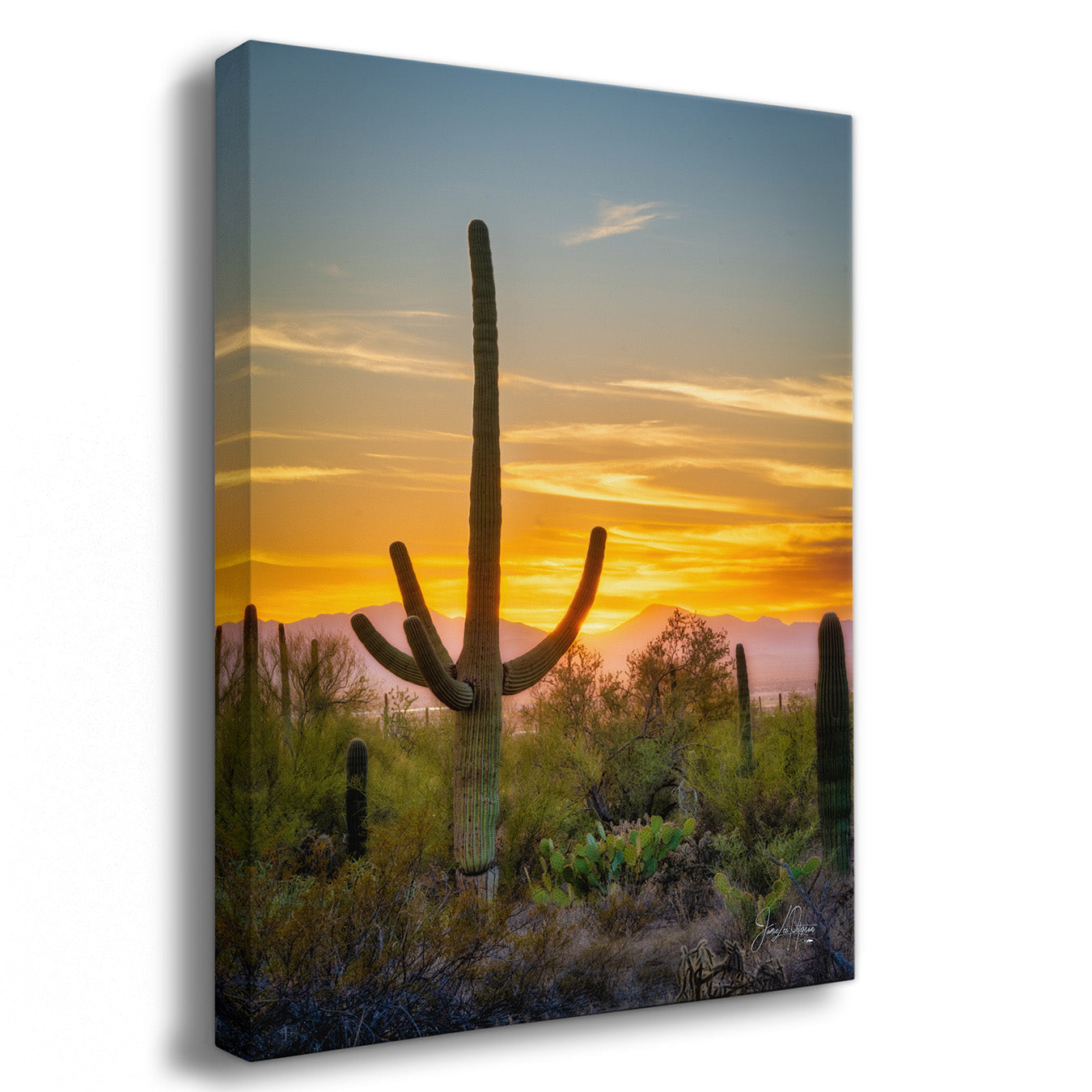 Canvas print of a cactus in a desert landscape with a sunset sky.