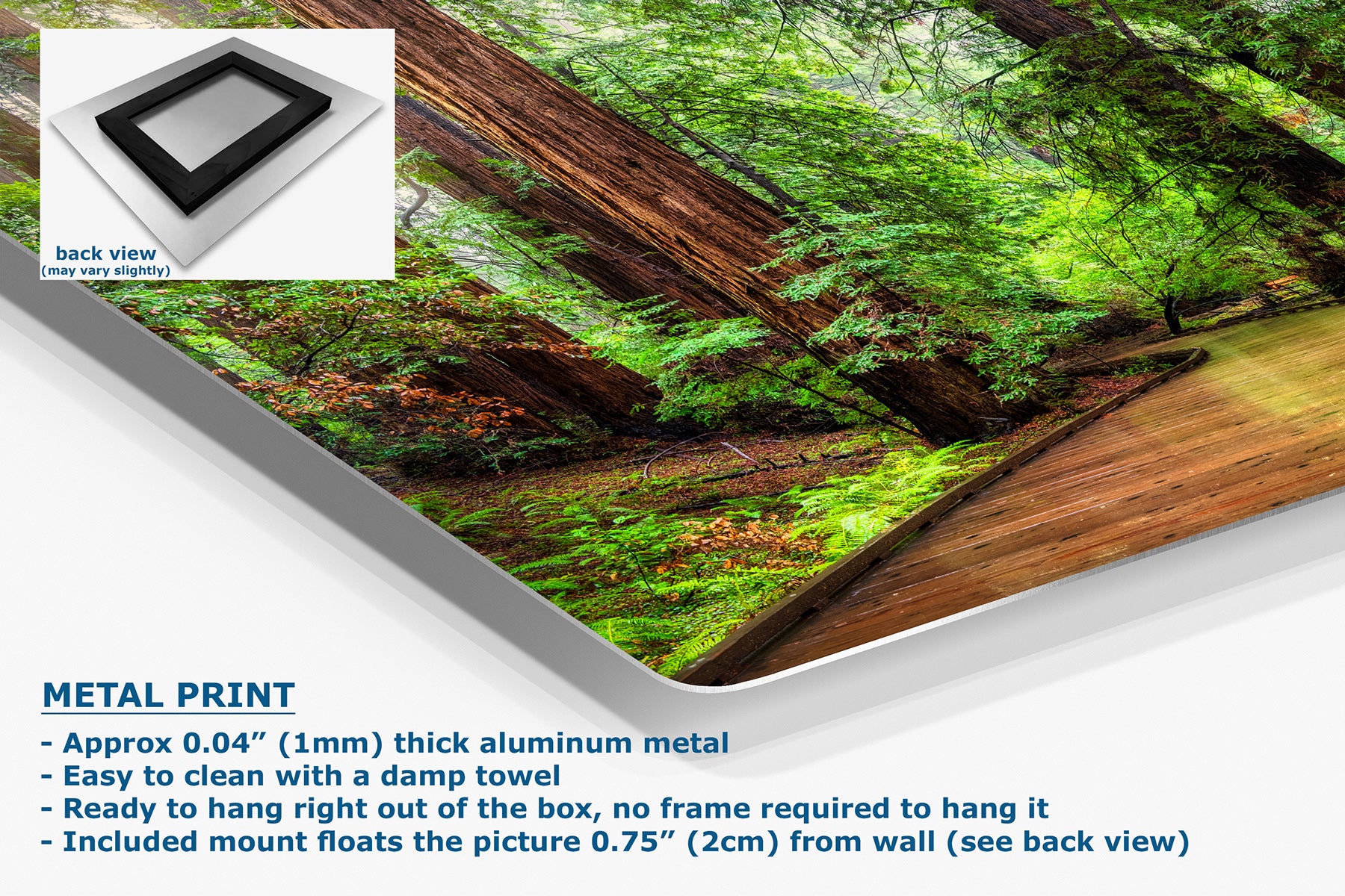 A metal wall art print showing a redwood forest scene with green foliage, brown tree trunks, and a wooden path, presented at an angle on a white background with product text and a small back-view inset.