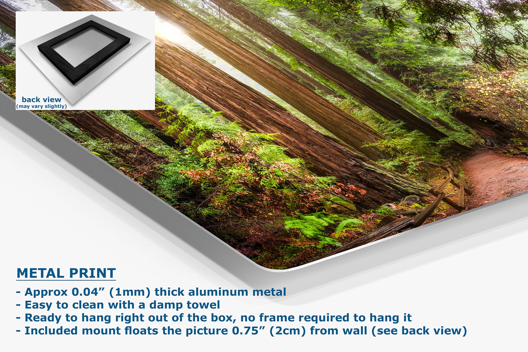 A metal print poster of a forest scene with fallen logs and green moss, shown at an angle with a white background and product specifications text below. An inset shows the back view of the print with a black frame.