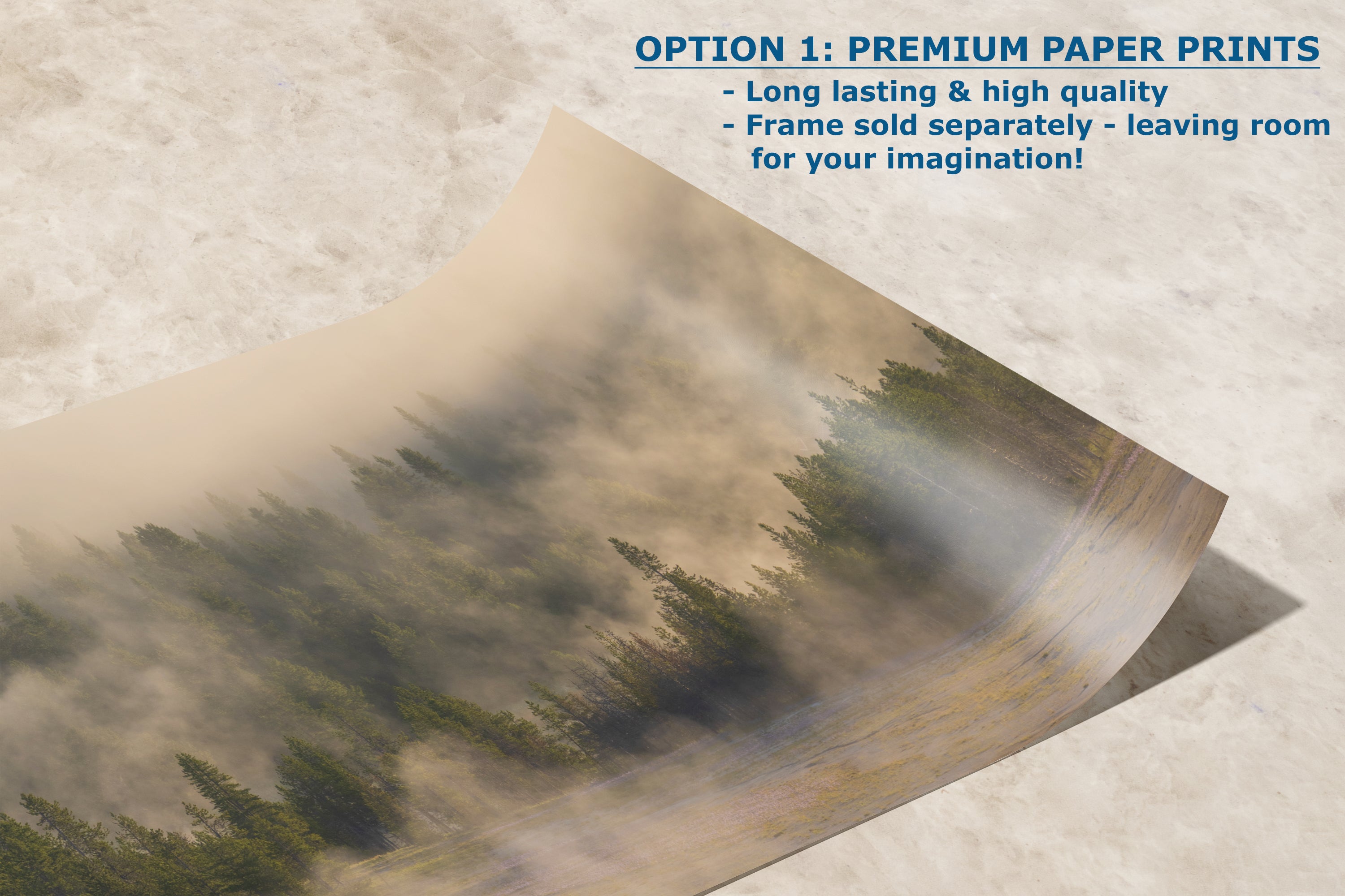 Foggy Forest Picture Forest Bathing Nature Photo, Yellowstone Misty Trees Wall Art, Cabin Decor, Canvas, Paper, Metal Prints