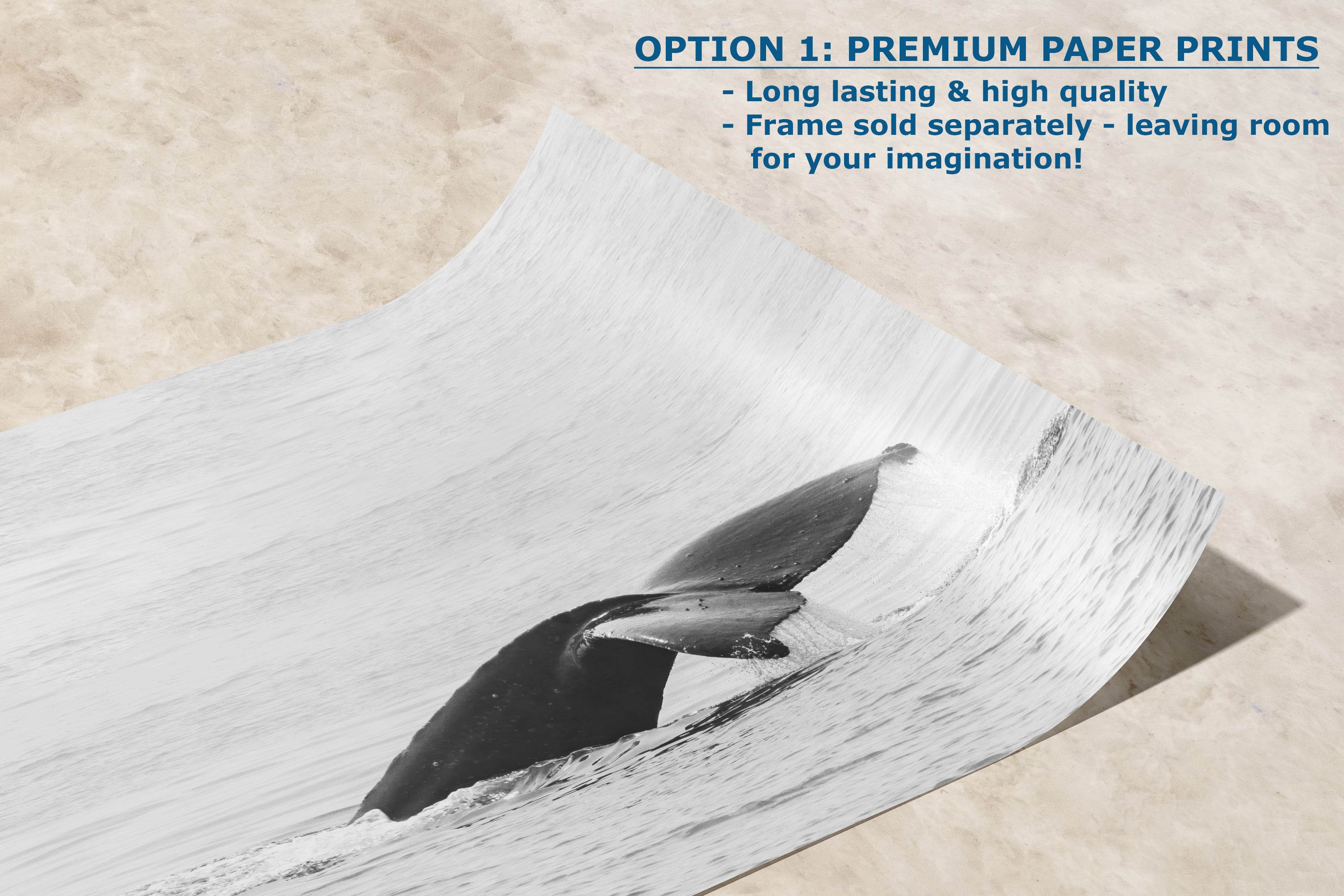 Humpback Whale Marine Mammal Wildlife Photography, Black and White, Monterey Bay Ocean Scene Art Print for Nature Lovers and Marine Conservation Decor