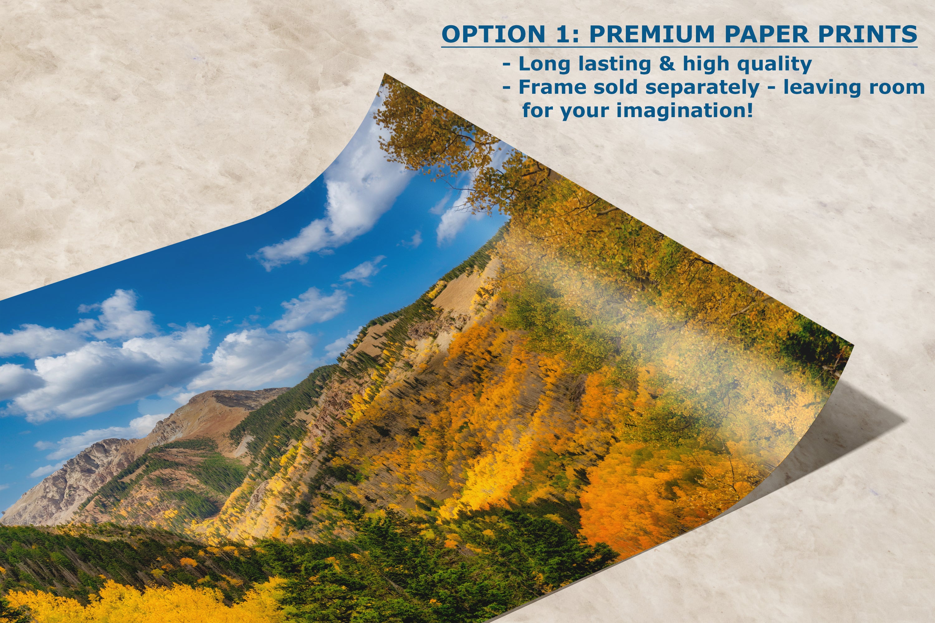 Colorado San Juan Mountains Picture, Fall Colors Nature Photo of Aspen Trees for Relaxation Meditation and Home Decor