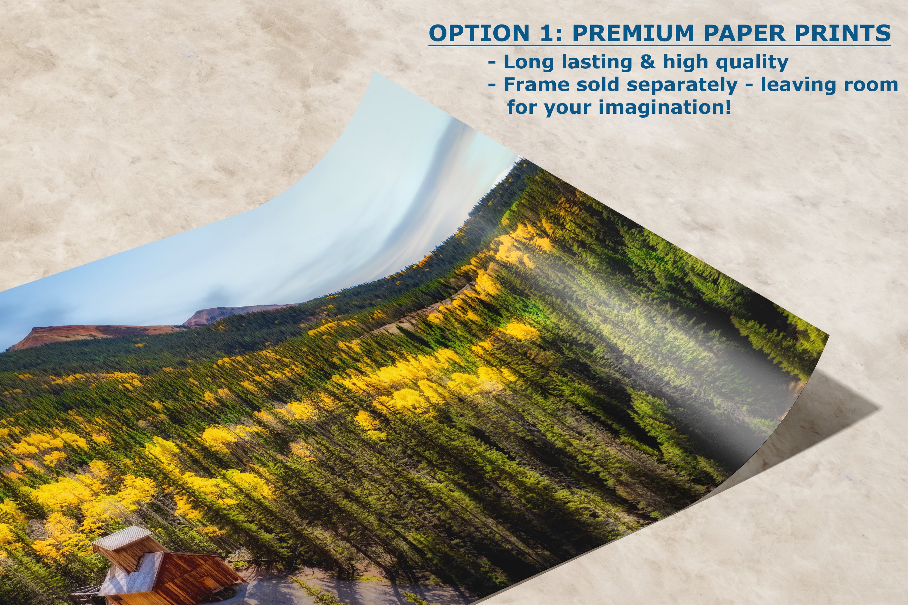 Colorado Boy Mine, San Juan Mountain Picture, Fall Colors Aspen Trees Forest Picture Nature Photo for Relaxation Artwork, Meditation and House Decor