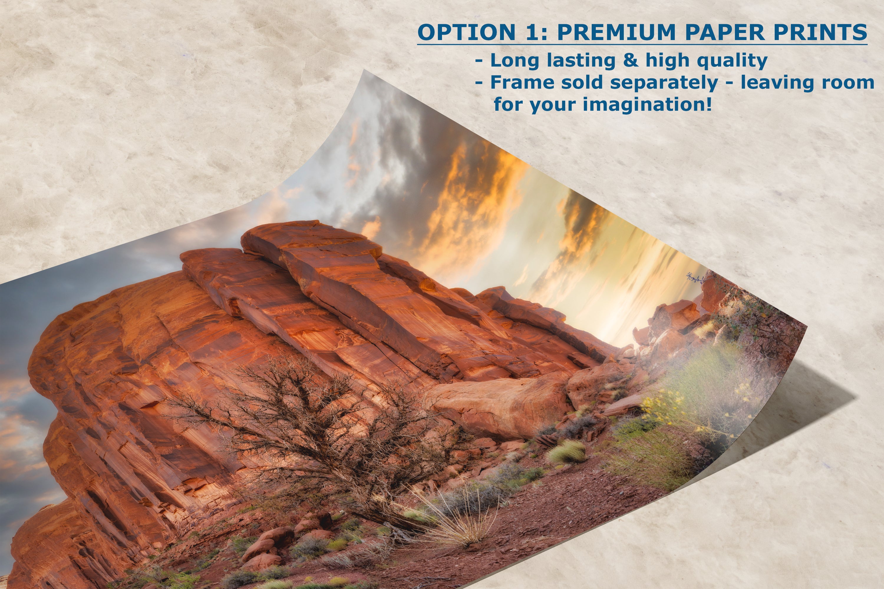 Monument Valley Arizona Desert Picture Cactus Nature Photo, Bohemian Style Relaxation Artwork for Meditation, Apartment, Office & House Decor