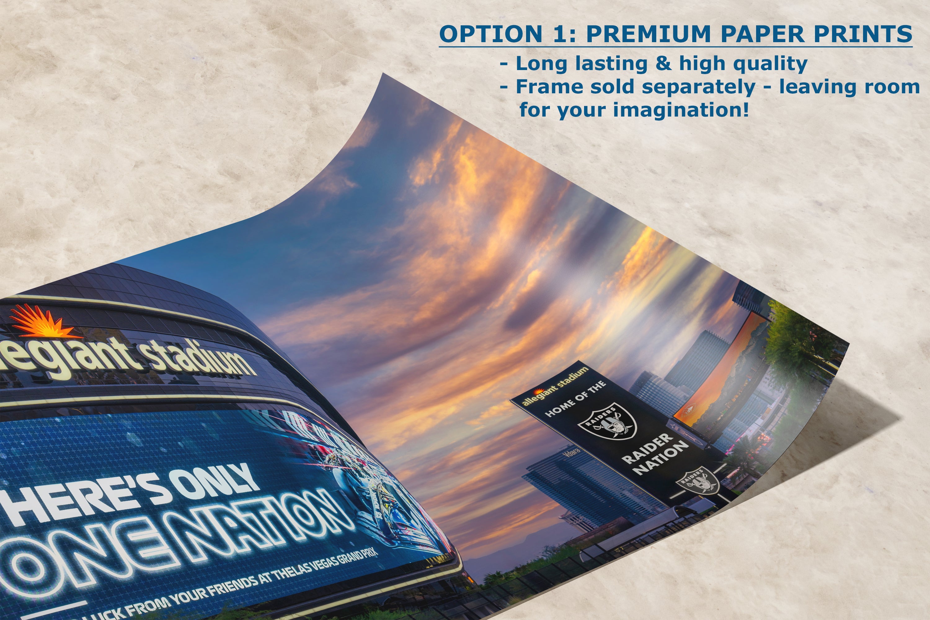 Las Vegas Raiders Football Gift Decor, Allegiant Stadium Photograph Poster, NFL Man Cave, Dorm Room & Office Wall Art