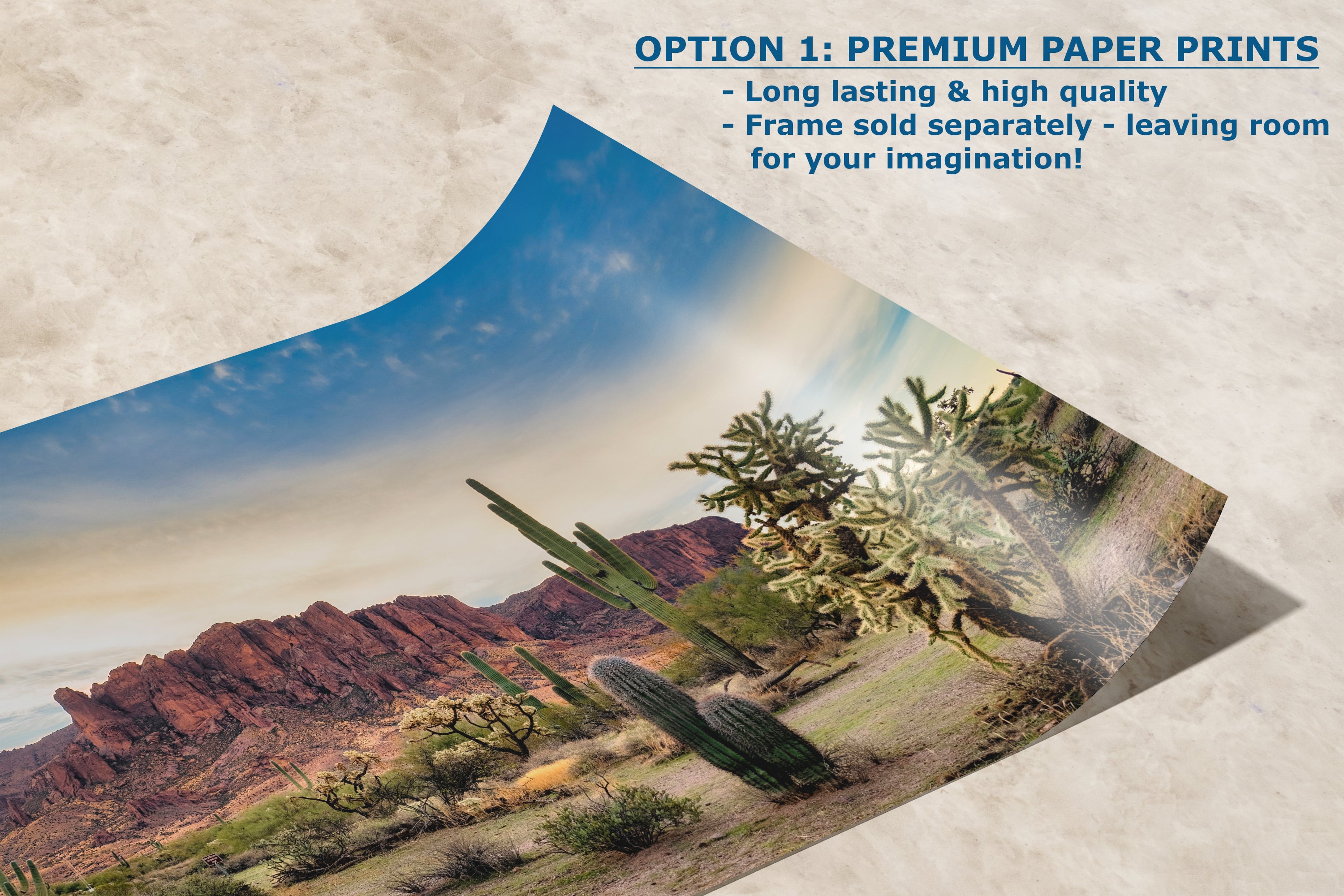 Arizona Desert Picture Wall Art Saguaro Cactus Artwork Nature Photo, Southwestern Wall Art of Superstition Mountains at Lost Dutchman State Park