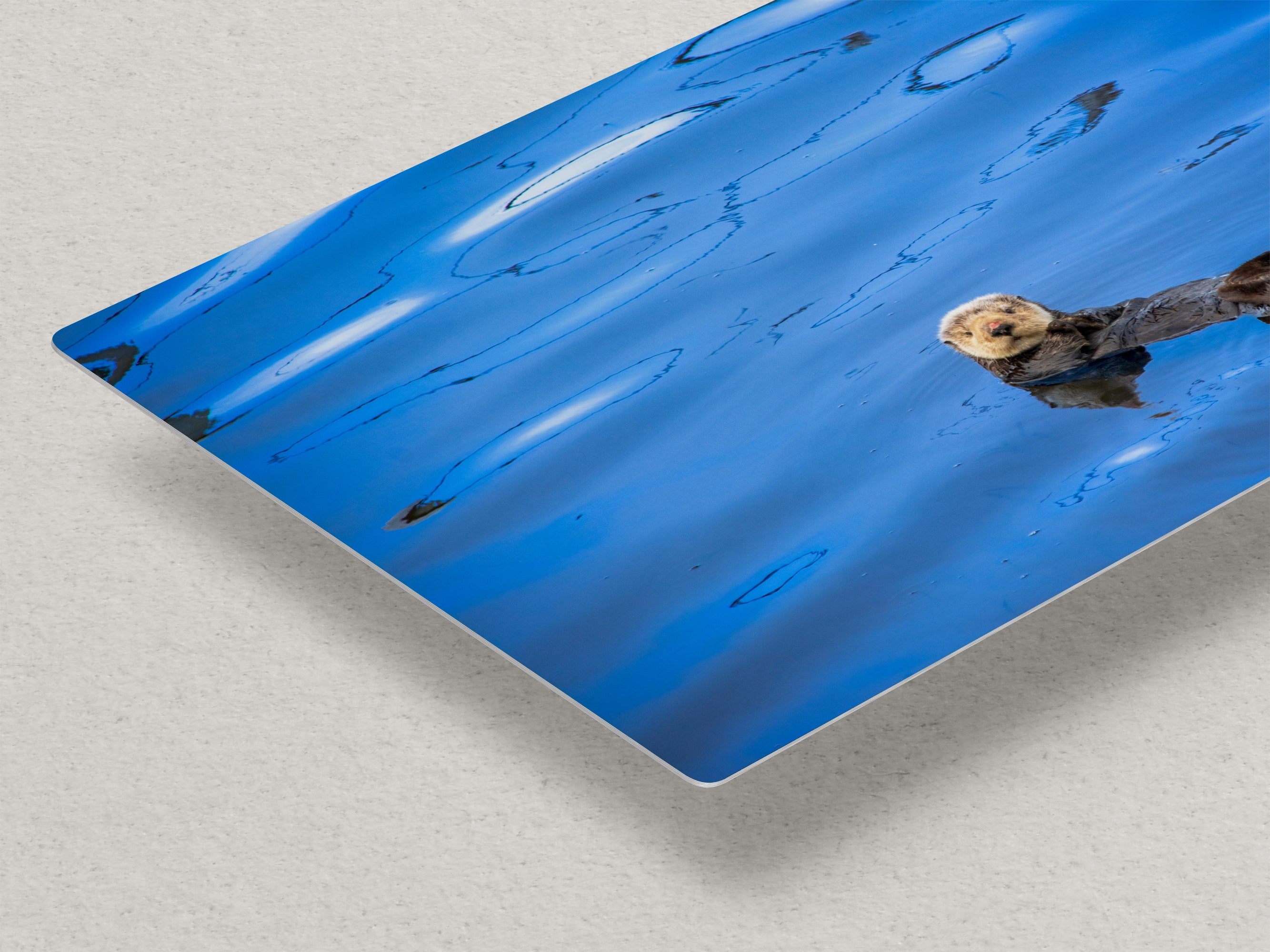 Ocean Picture Limited Edition Fine Art Print – Sea Otter Wildlife Photography Nature Photo
