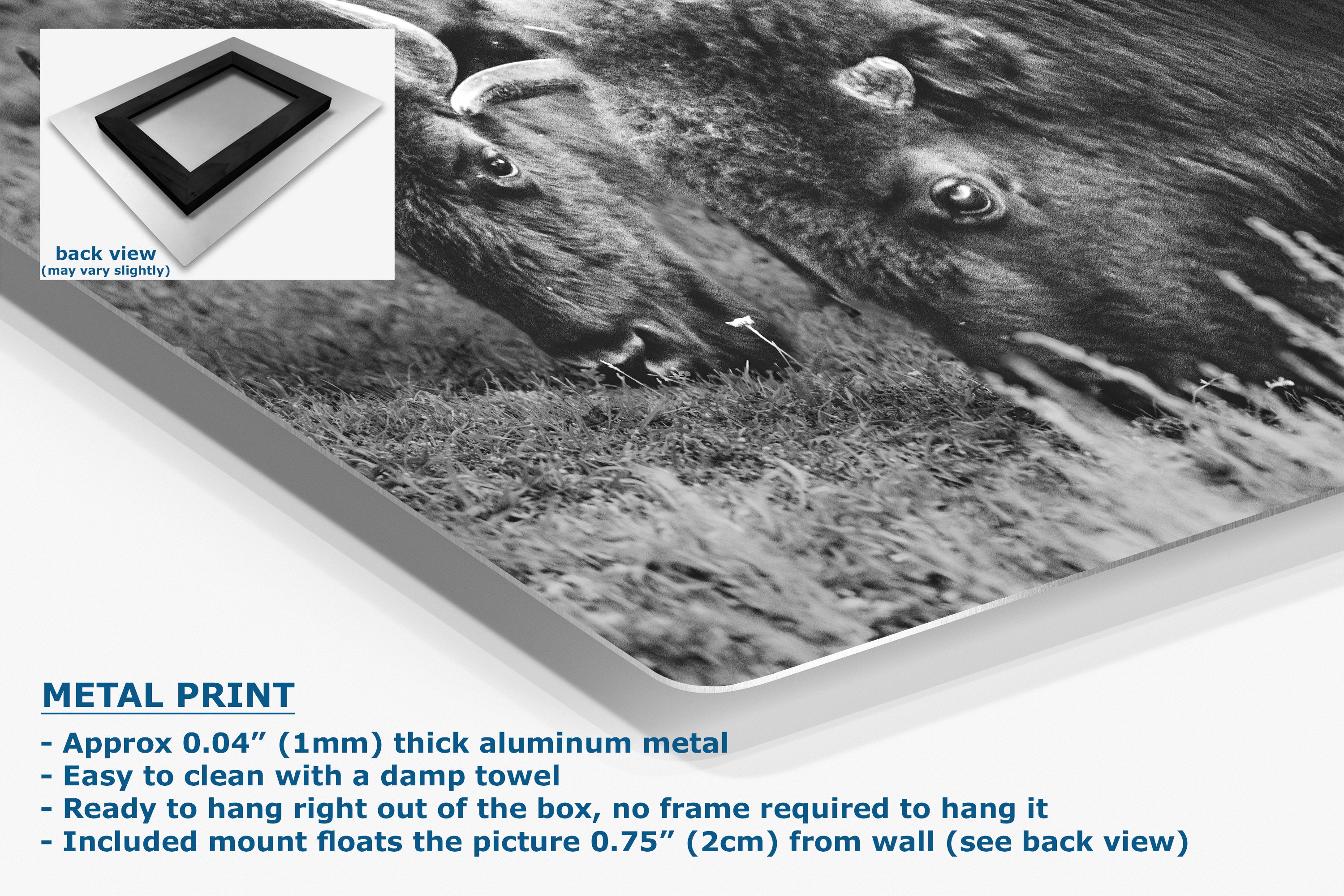A large black-and-white wall art print showing a close-up of a bison's face in grass, displayed at an angle with product text and a small back-view inset.