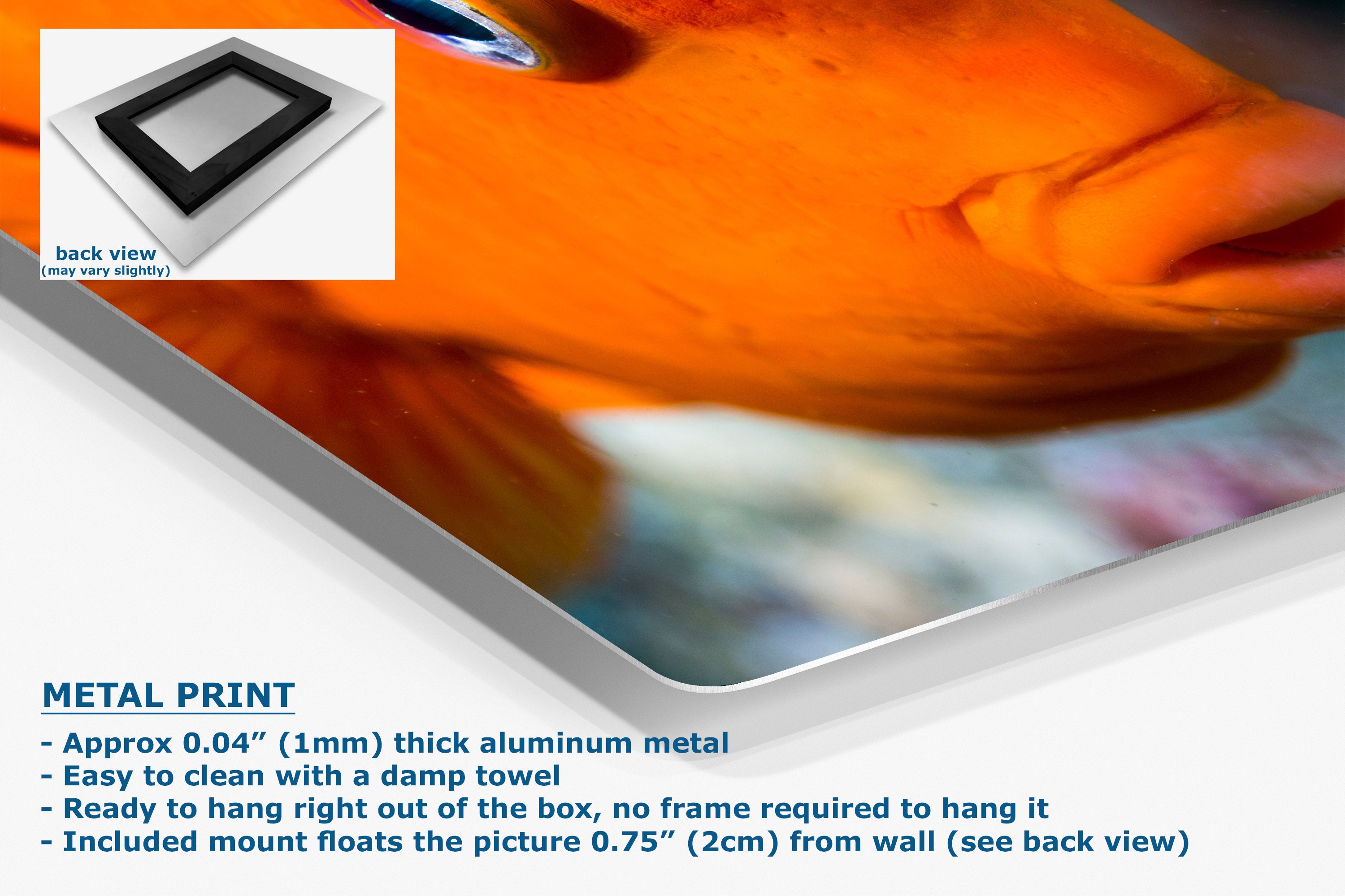 A close-up of a glossy metal print panel showing a vivid orange fish image, with a small inset back-view thumbnail and text describing the product as a metal print with aluminum finish and mounting details.