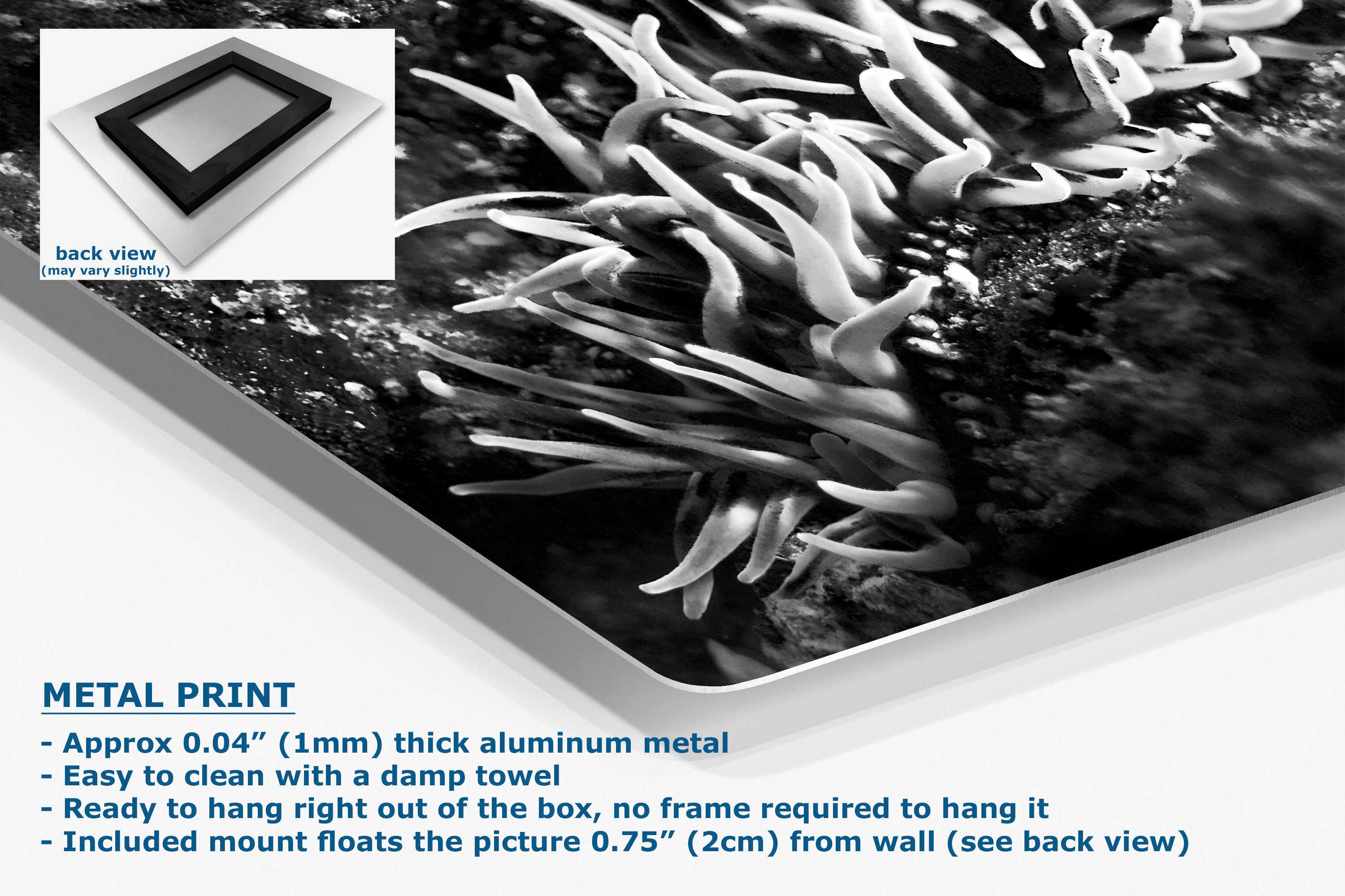 A black and white metal wall art print featuring an abstract anemone-like pattern, shown at an angle with product details and text on a white background. Includes a small inset showing the back view with a mounting frame.