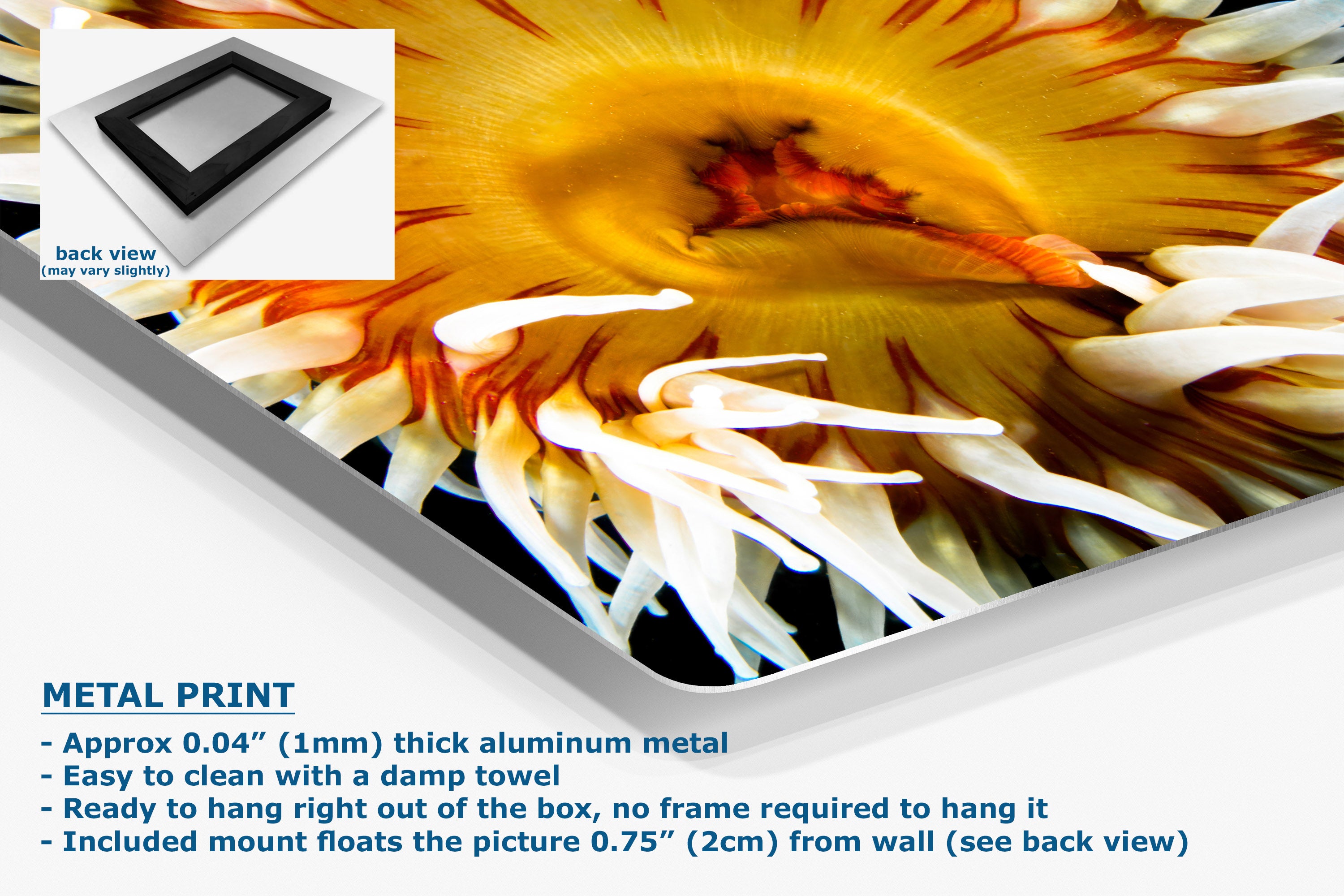 A close-up of a metal print panel showing a vivid image, with text describing the product as a 0.04" (1mm) thick aluminum metal print and a small inset showing the back view with a black frame.