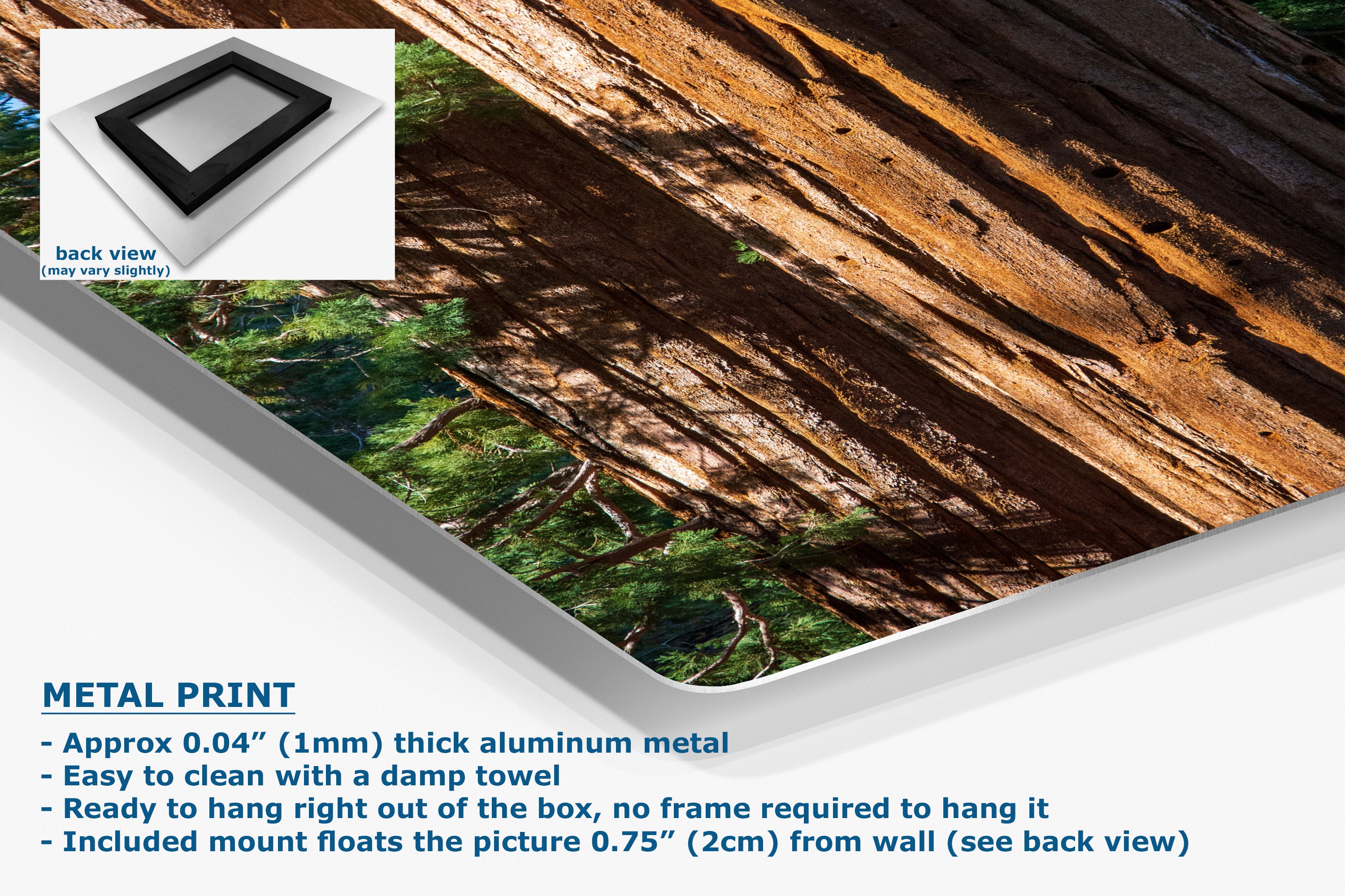 Metal print of a nature scene with text detailing its features.