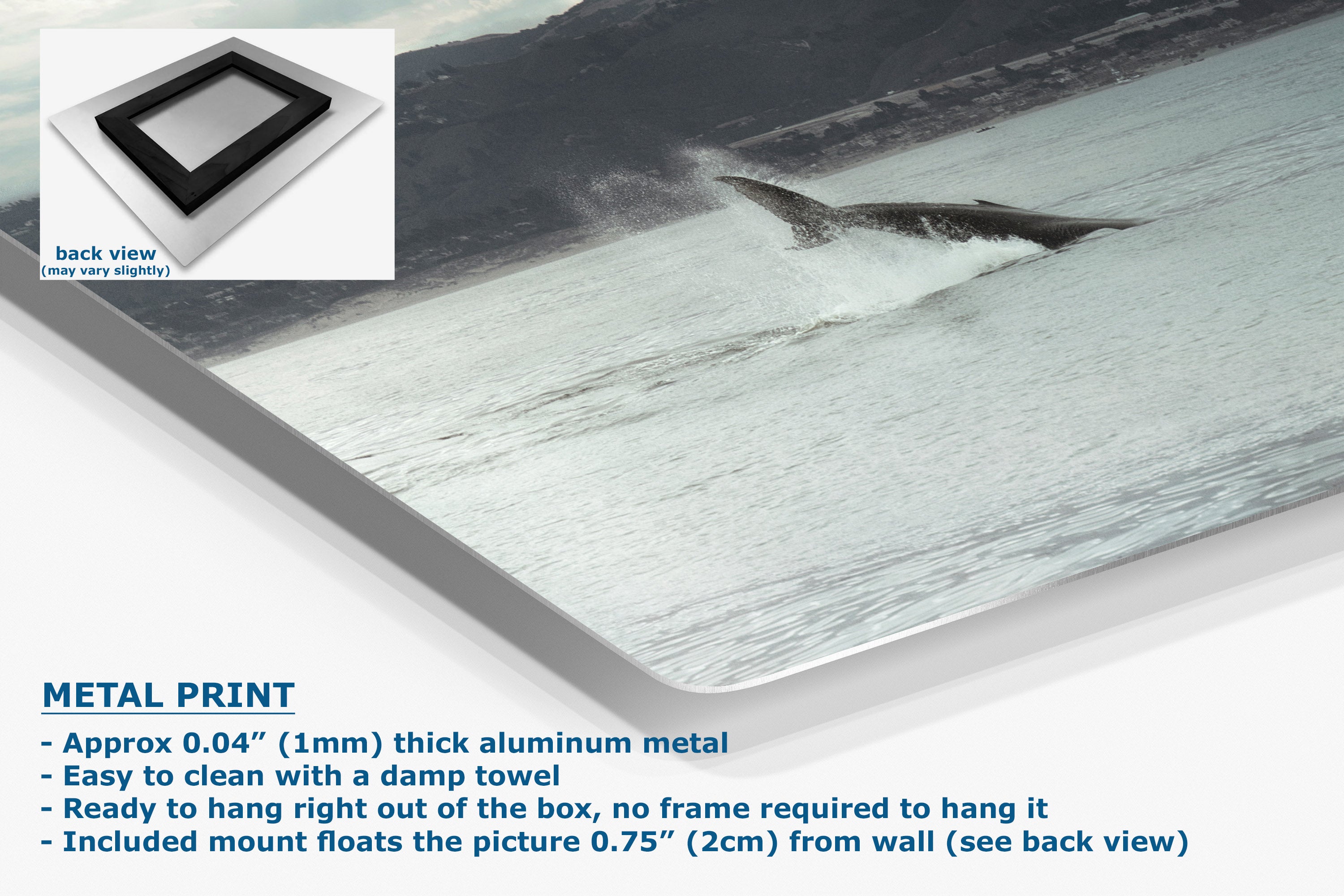 A large rectangular metal wall art print shown at an angle on a white background, with a small inset back-view graphic and text describing the product as a metal print. The artwork depicts a whale jumping out of the water in a coastal scene.