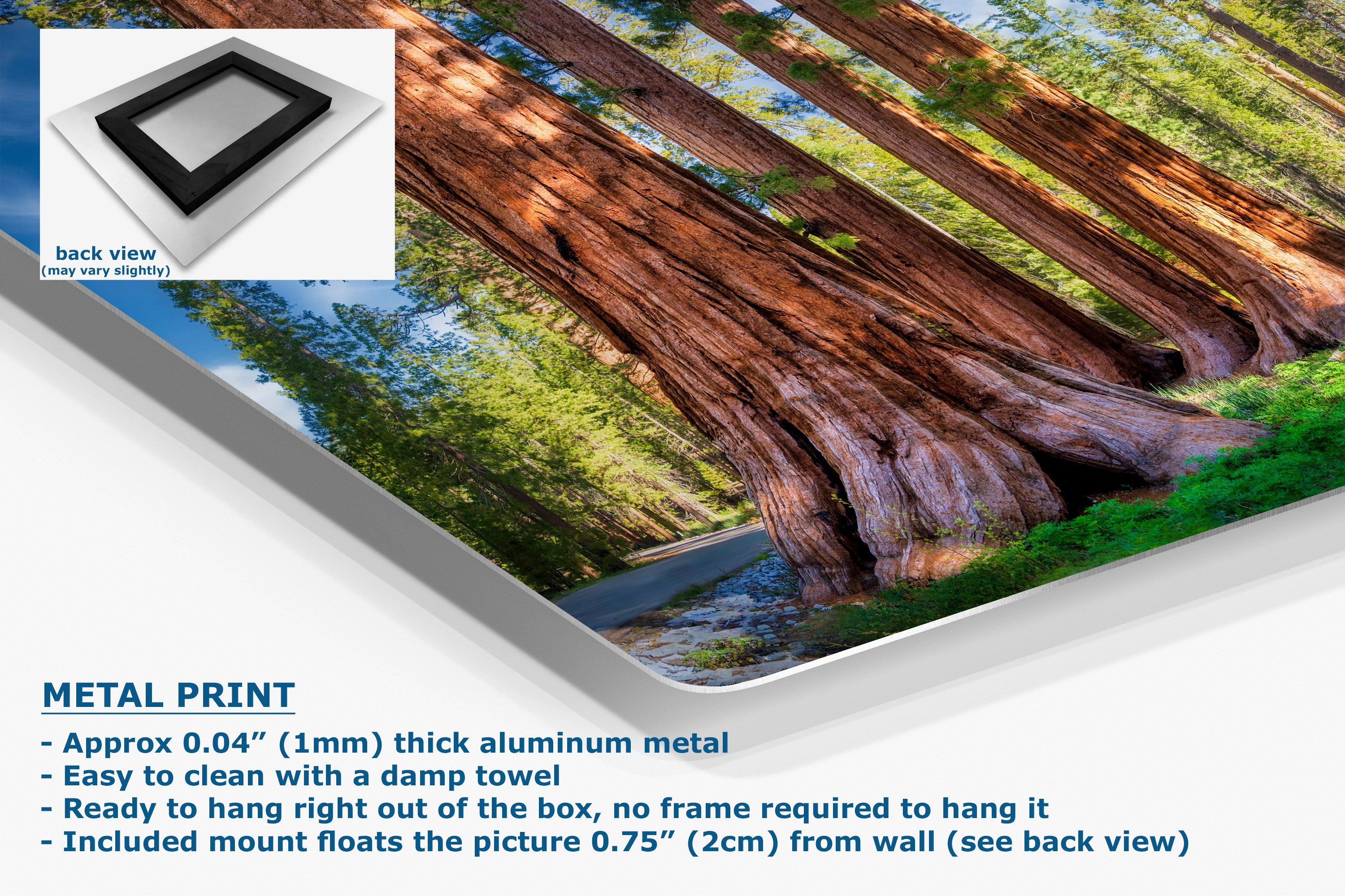A metal wall art print showing a forest scene with giant redwood trees, displayed at an angle with product details and text on a white background. An inset shows the back view with a black frame.