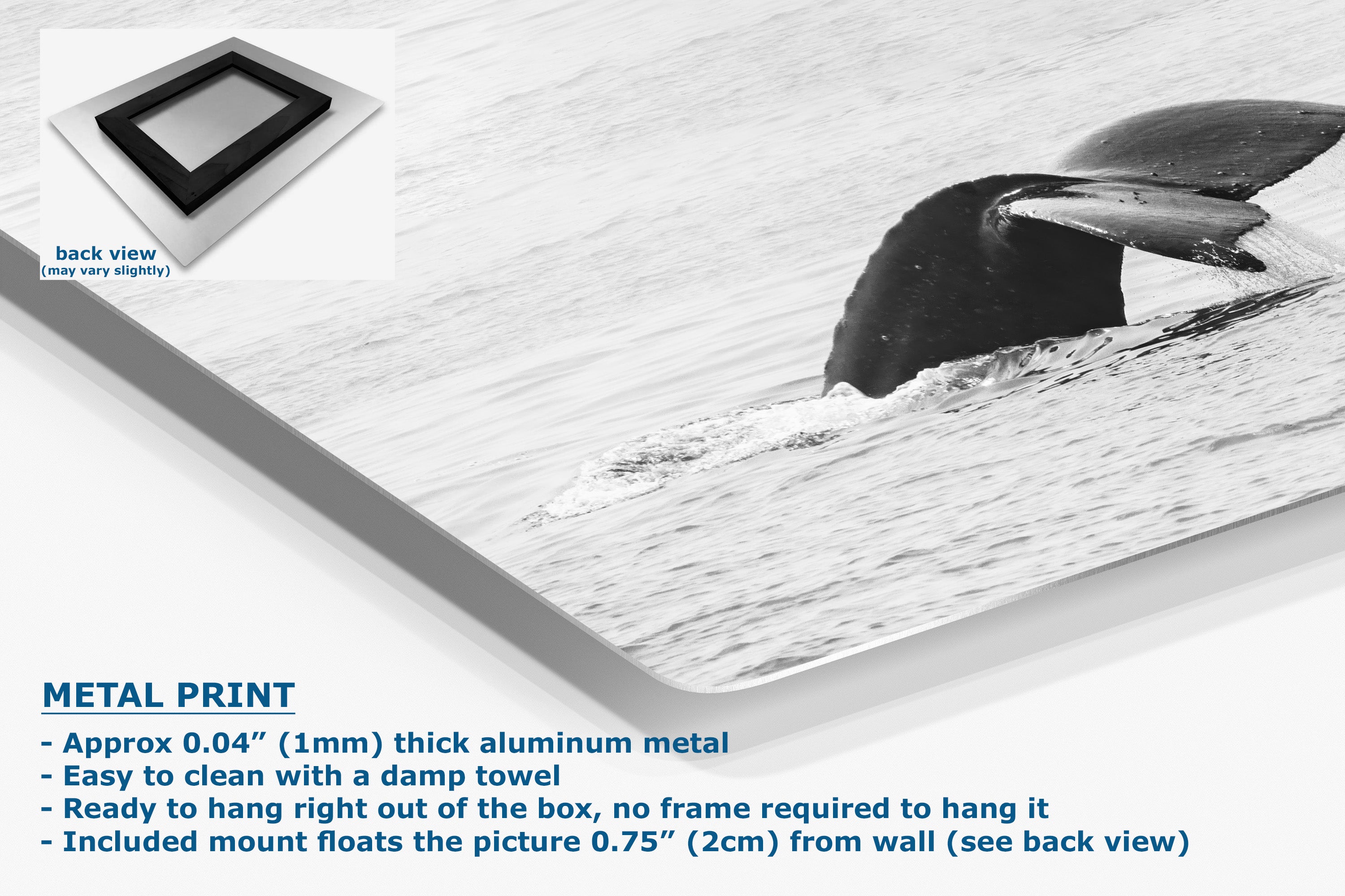 A corner view of a metal wall art print featuring a black-and-white photograph of a whale fluke, displayed at an angle with product text and a small back-view inset. The text highlights the aluminum finish and mounting details.