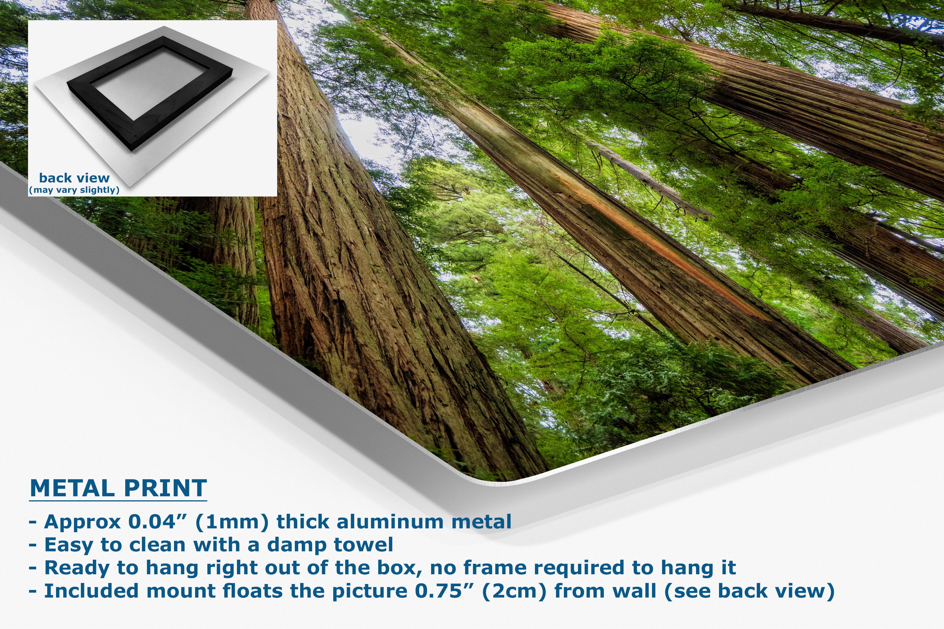 A metal wall art print featuring a forest scene with giant redwood trees, shown at an angle with product details and text on a white background. The text highlights the aluminum finish and mounting instructions.