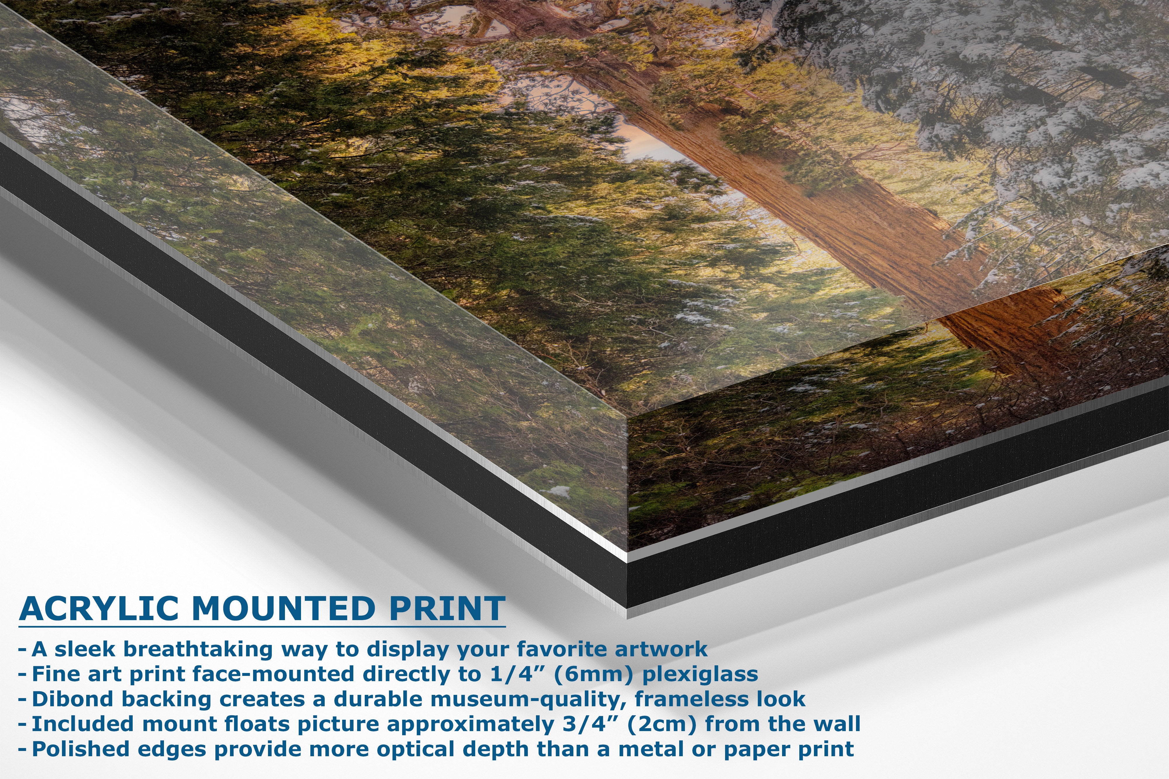 Acrylic mounted art print showing a forest landscape with a dirt road, with descriptive text on a white background.