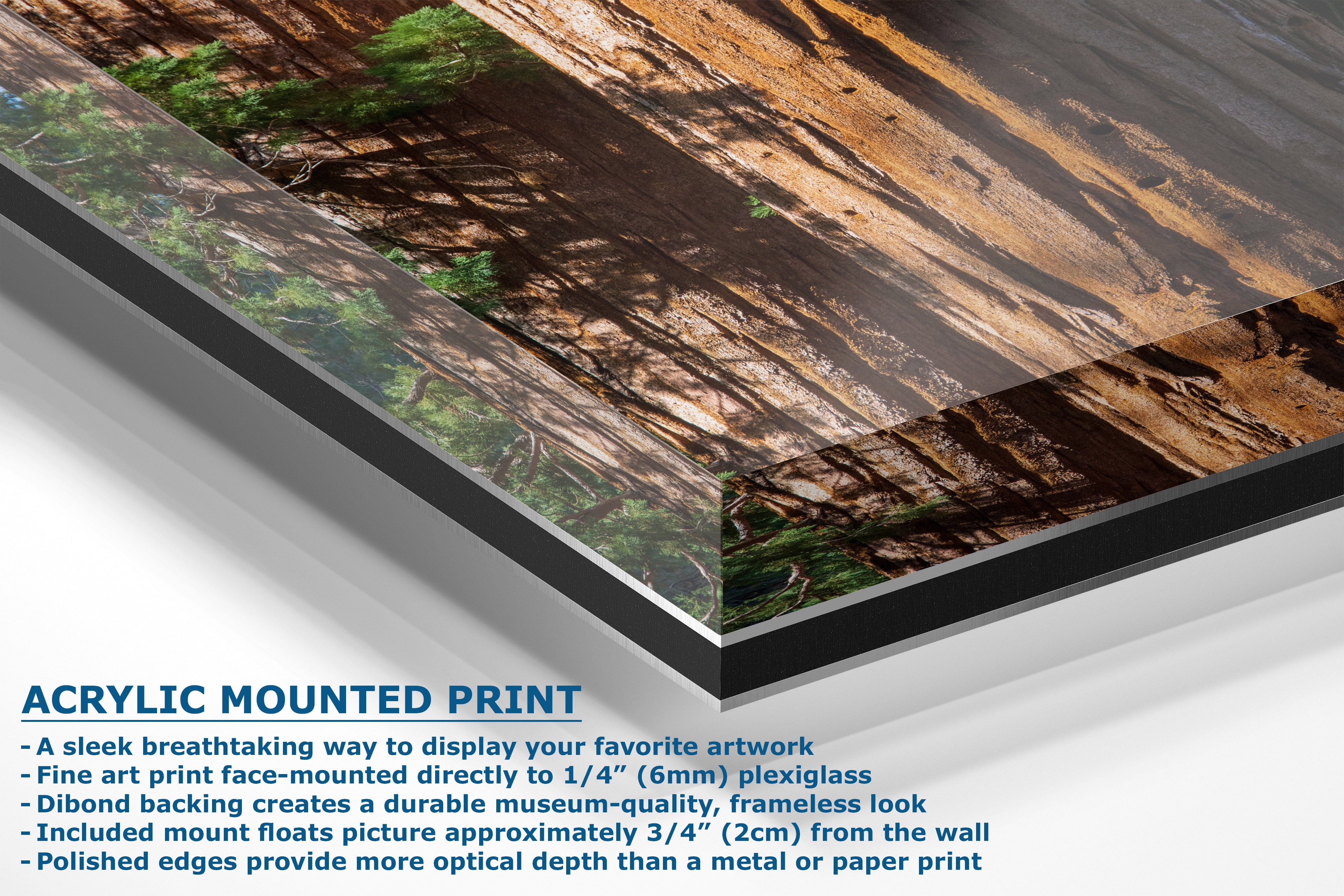 Acrylic mounted print with text describing its features