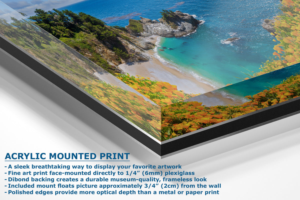 Acrylic mounted print of a scenic landscape with text describing the product.