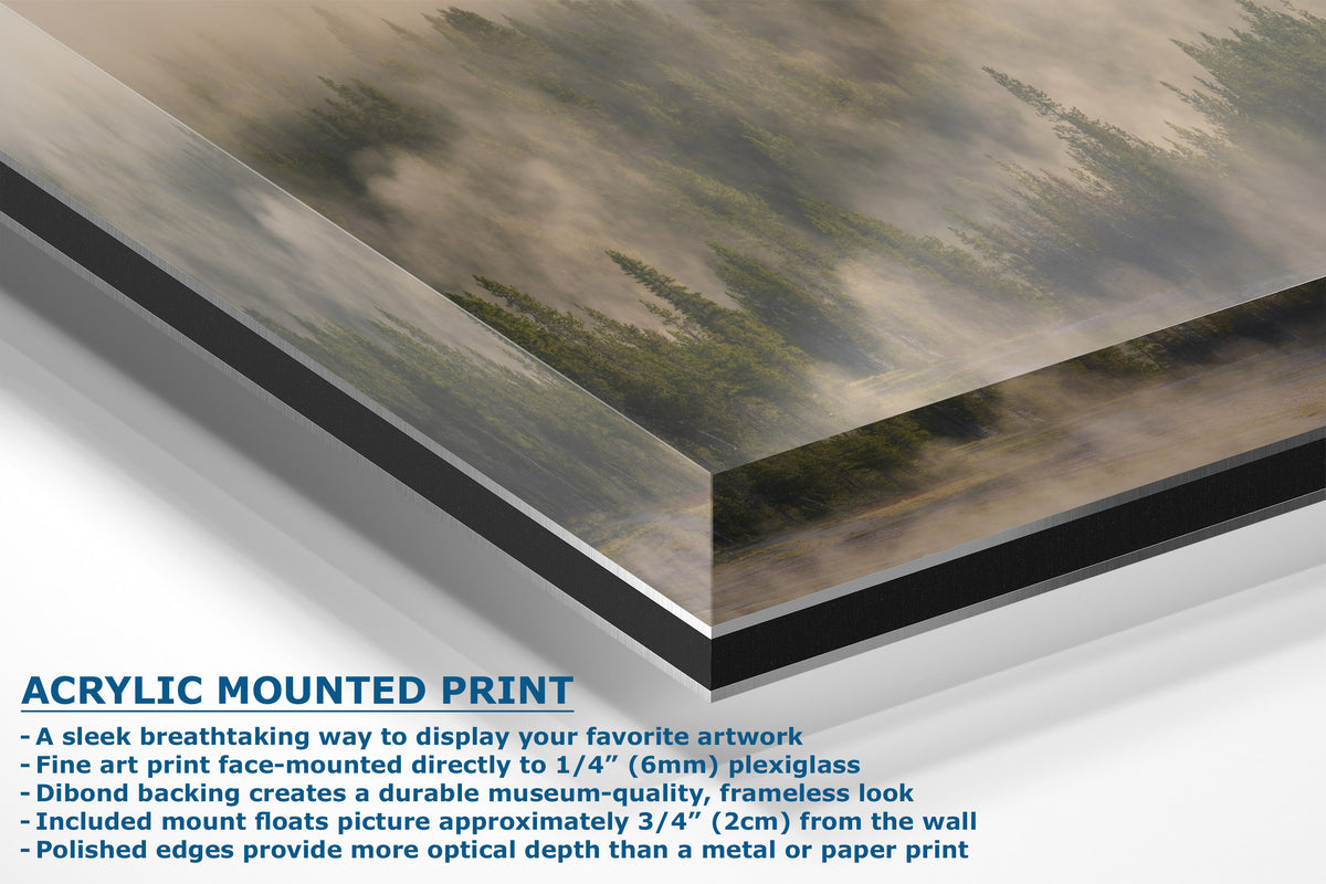Acrylic mounted art print featuring a misty forest landscape, shown at an angle with descriptive text highlighting its features on a white background.