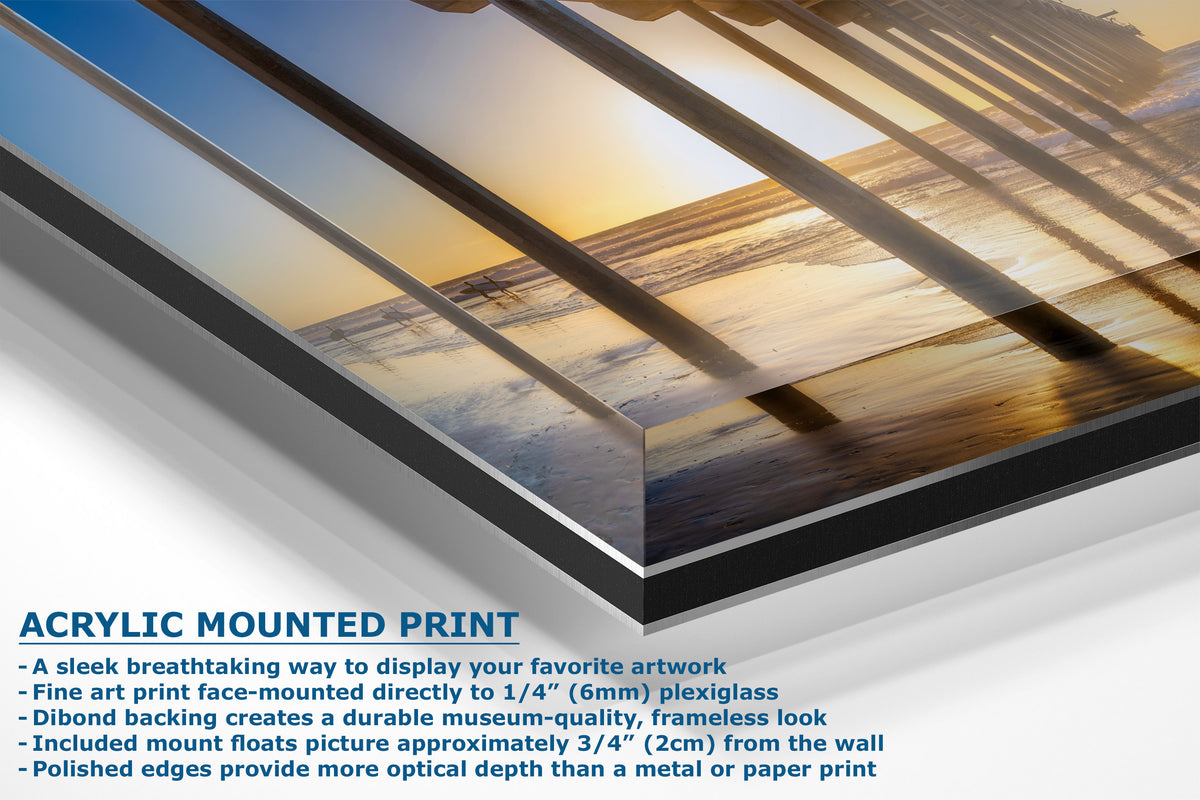 Acrylic mounted art print display showing a close-up of a framed print with descriptive text on a white background.