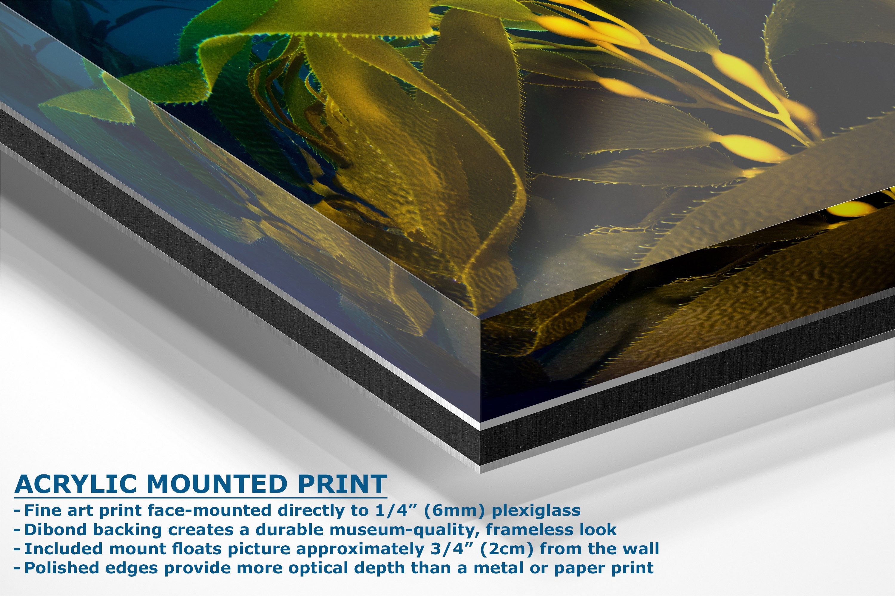 Acrylic mounted art print showing a close-up of a yellow and green abstract floral or botanical design on a dark background, with product text and a 3D angled view of the mounted print.