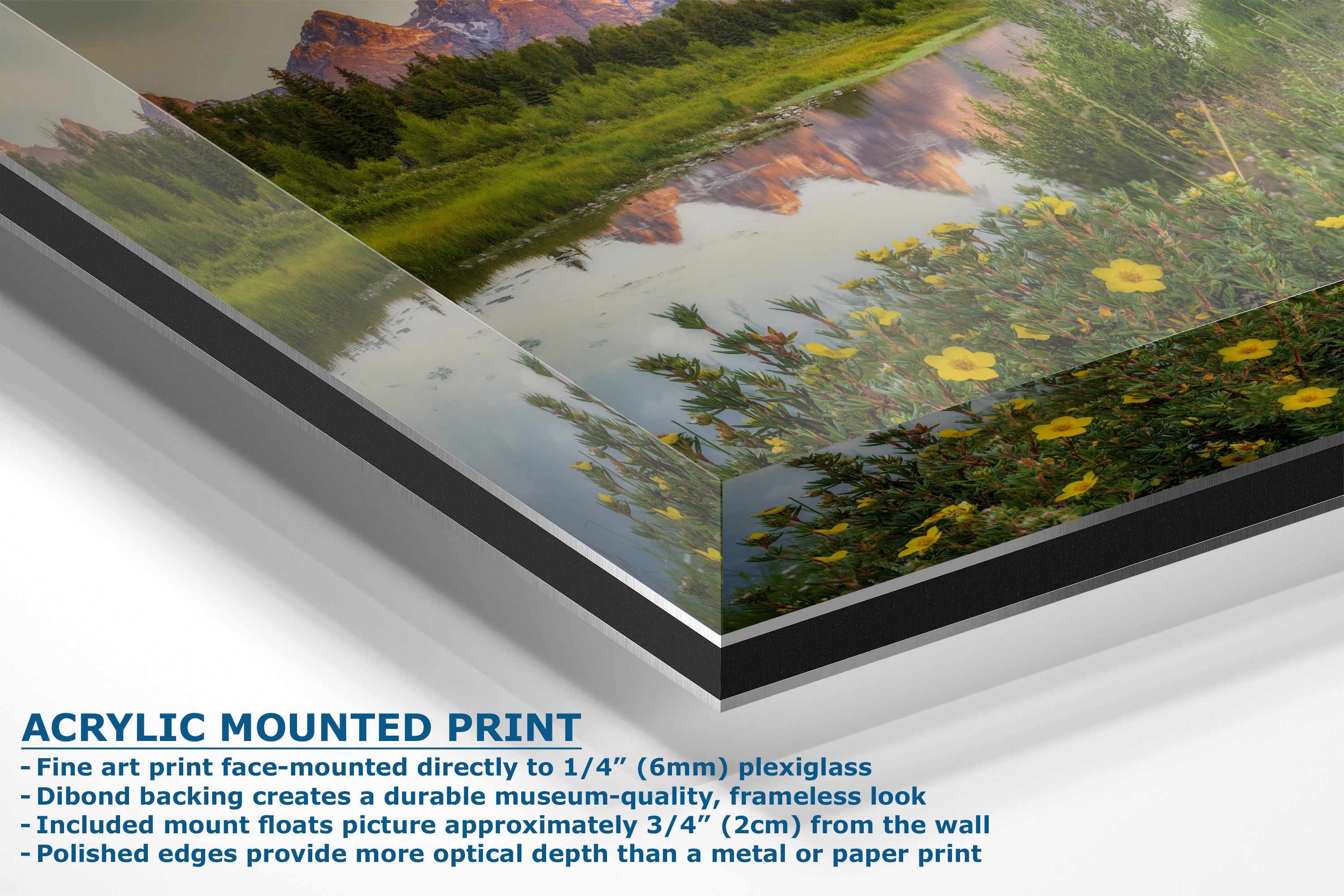 Acrylic mounted art print of a landscape painting showing a pond with green reeds, yellow flowers, and reddish-brown cliffs reflected in the water, displayed at an angle with descriptive text on a white background.