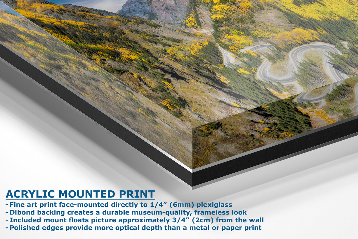 Corner view of an acrylic mounted art print of a winding mountain road with yellow wildflowers, shown at an angle with descriptive text on a white background.