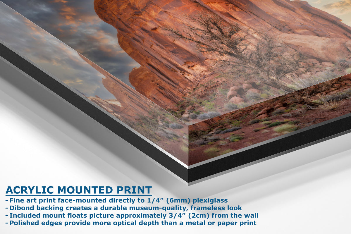 A corner view of an acrylic mounted art print of a red rock canyon landscape, shown at an angle with descriptive text overlay detailing its features.