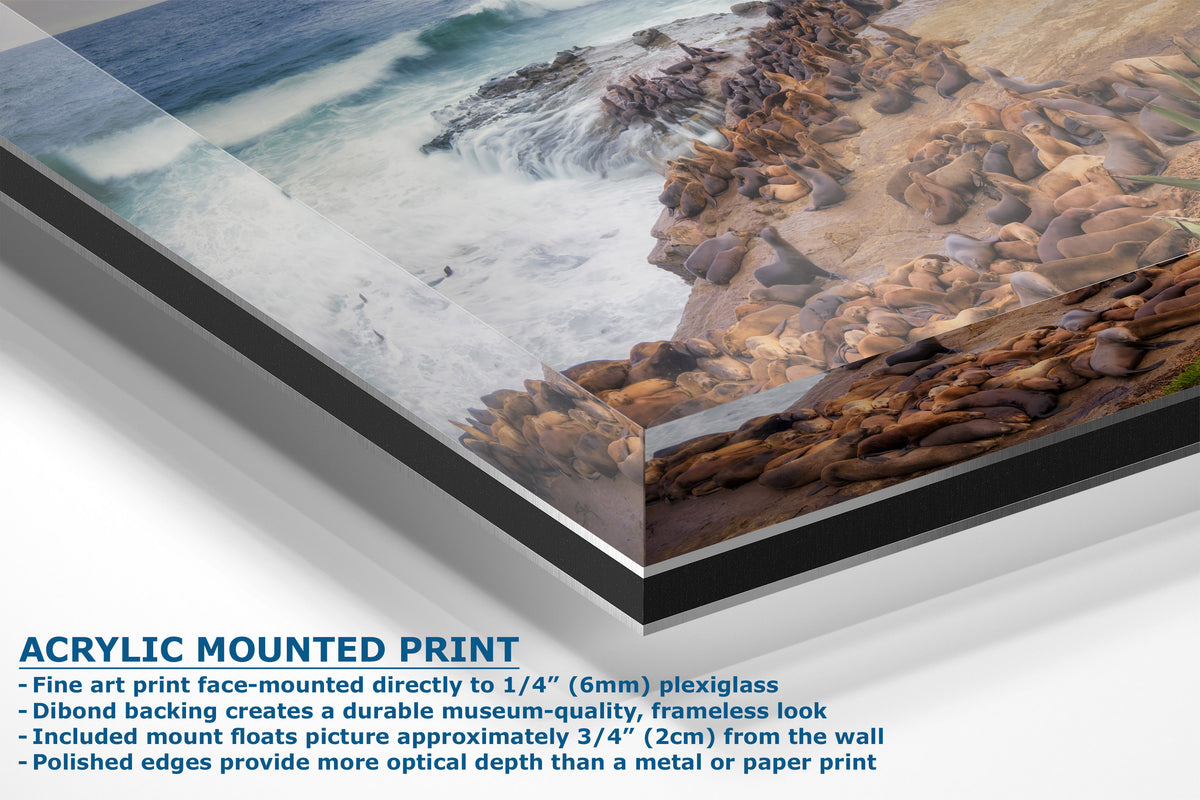 Acrylic mounted art print of a rocky coastline with ocean waves, shown at an angle with descriptive text on a white background.