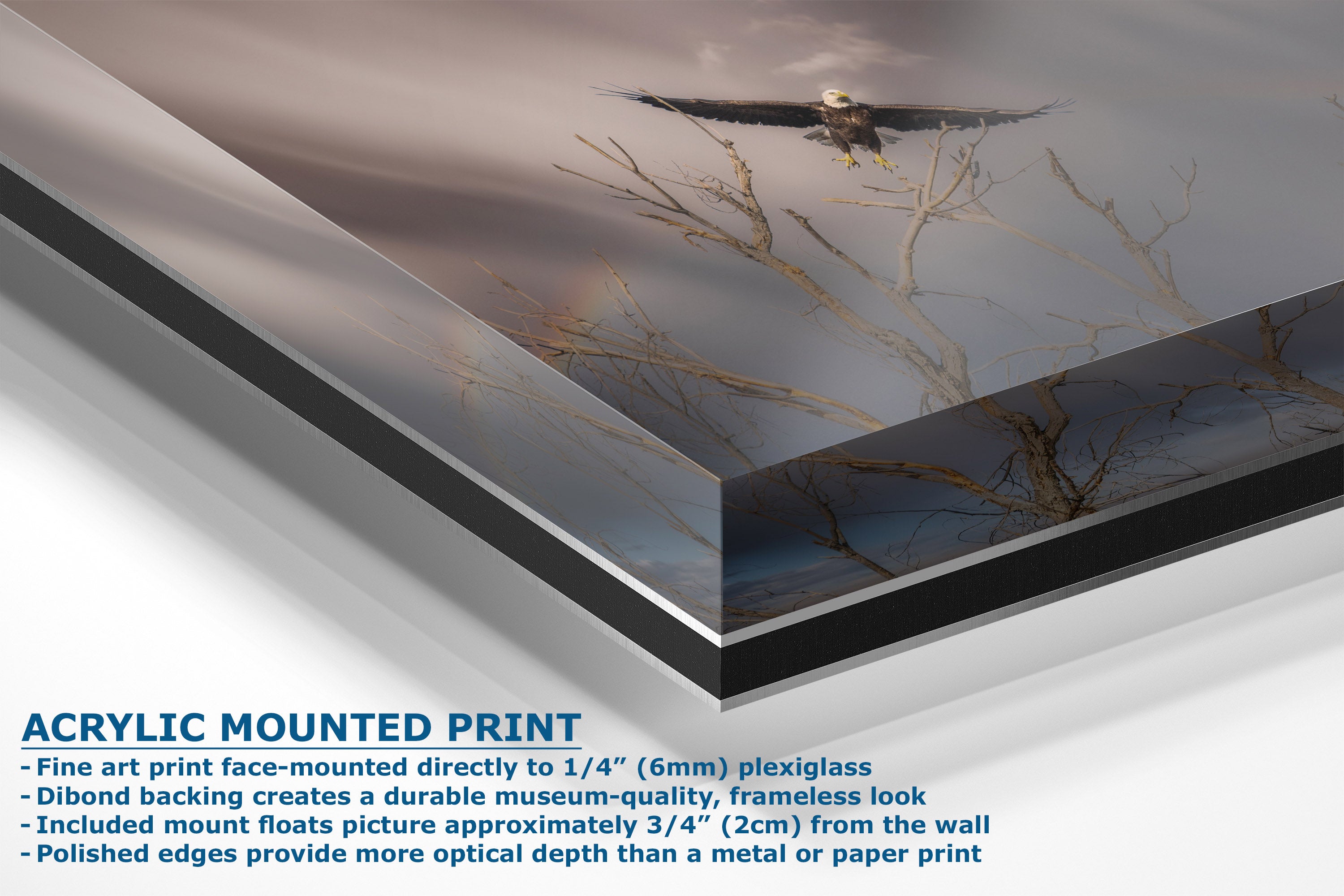 A corner view of an acrylic mounted art print showing a landscape scene with a bird and tree branches, presented at an angle with descriptive text on a white background.