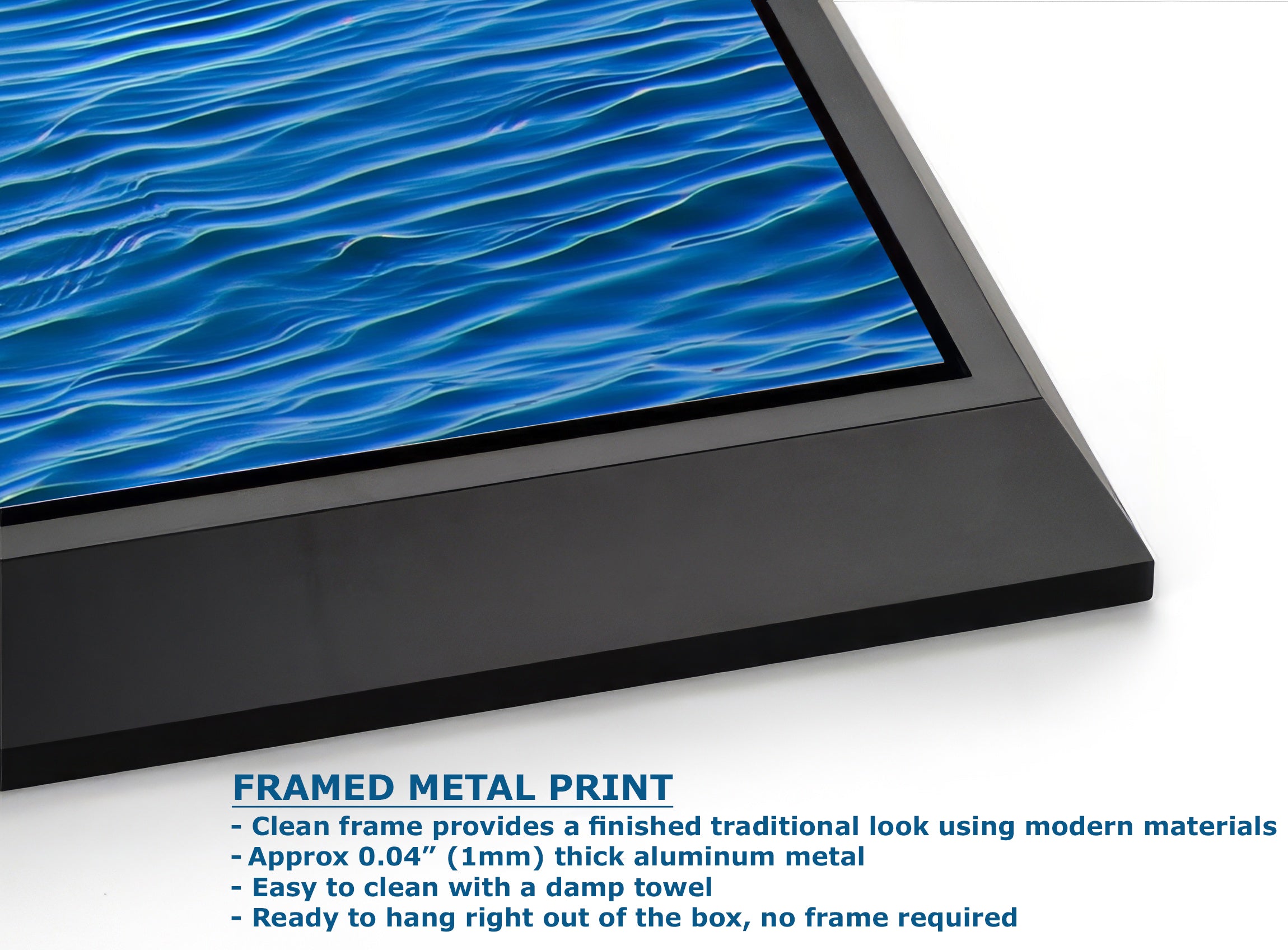 Seal Print Marine Mammal Wildlife Photography, Ocean Picture Relaxation Artwork Nature Photo