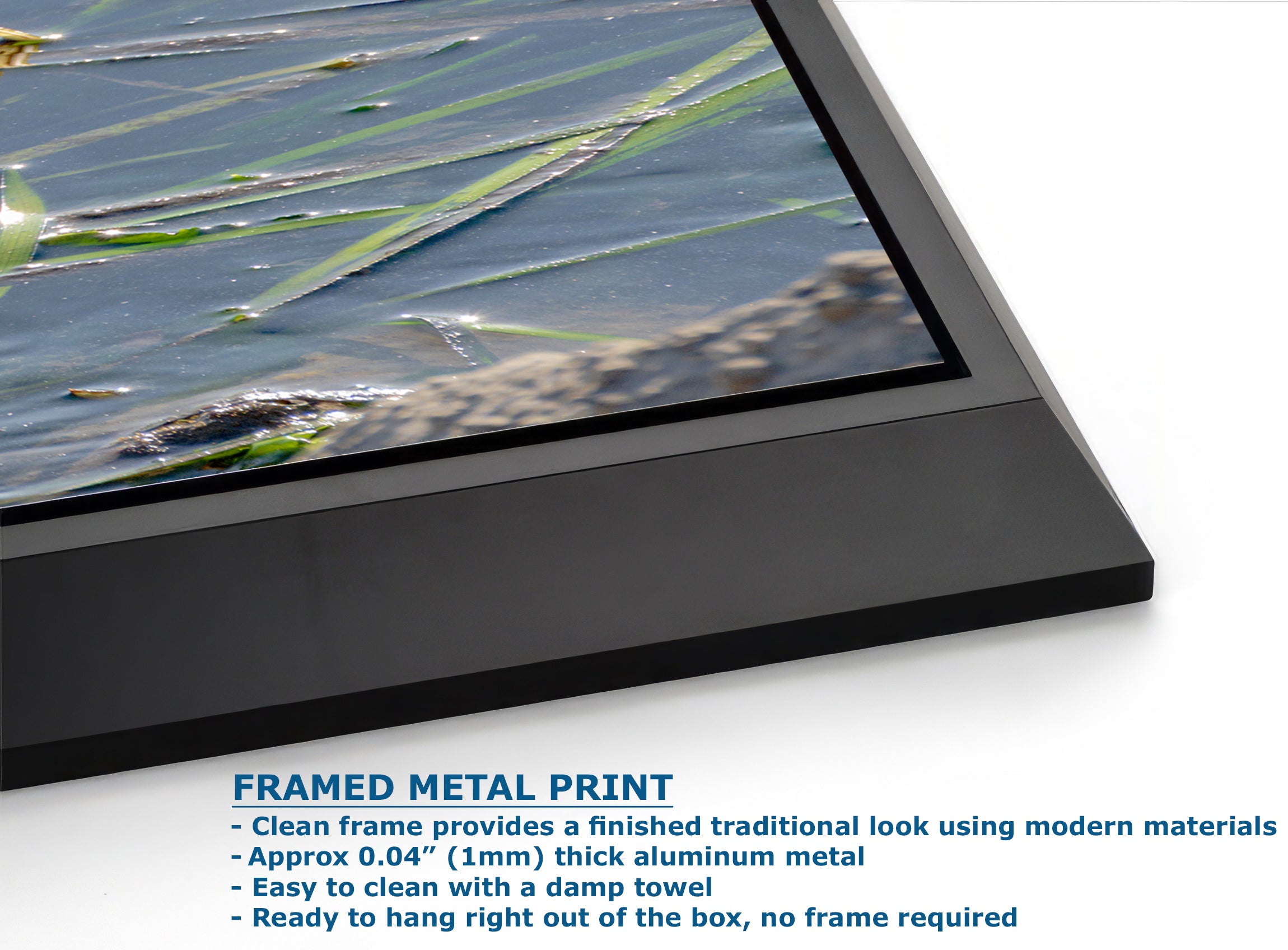 Great Blue Heron Art Wildlife Photography, Nature Wall Decor for Bird Lovers, Ocean Conservation, Relaxing Office or Room Artwork