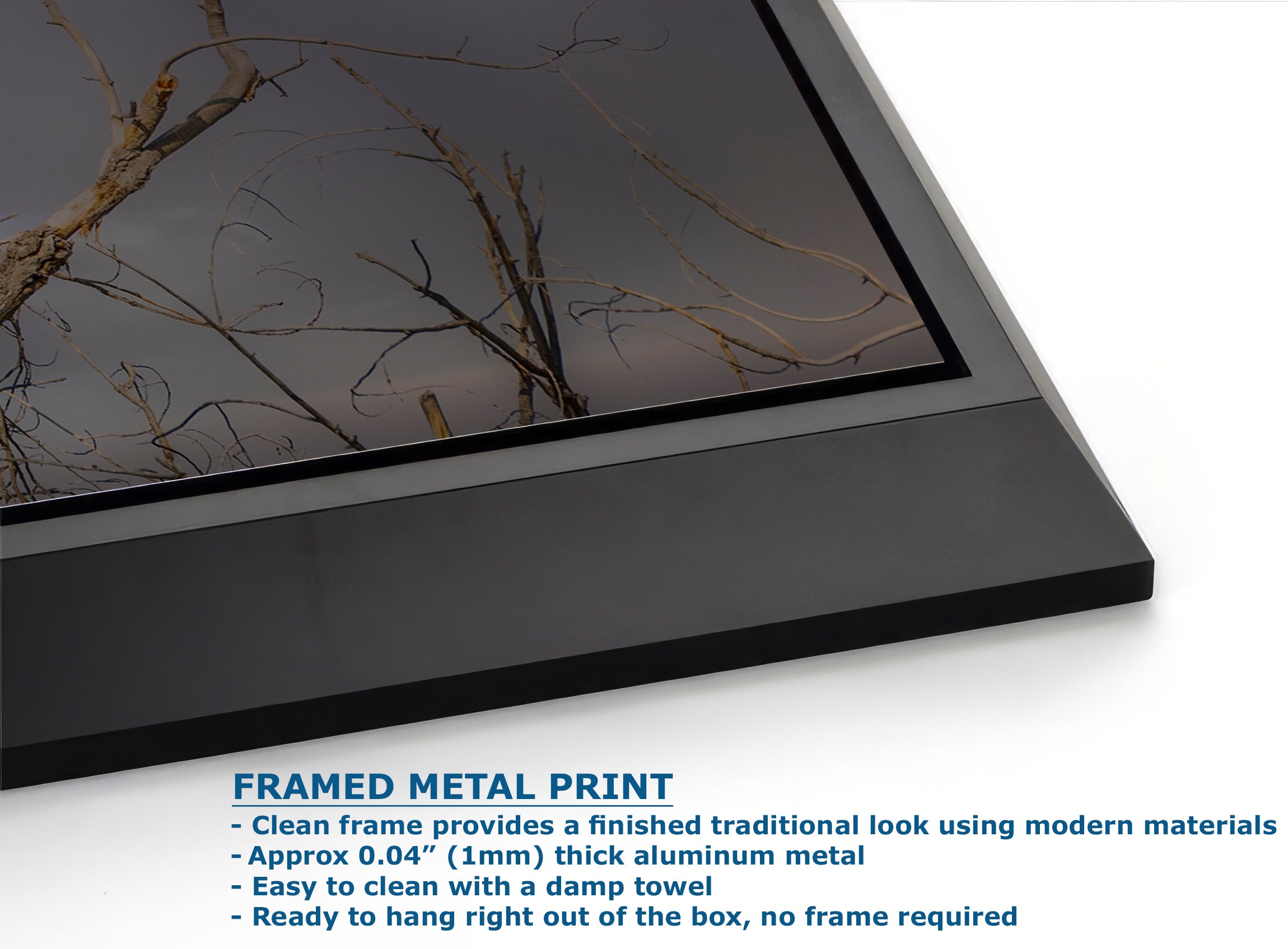 Bald Eagle Picture Wildlife Photography Wall Art, Nature Photo, Bird Photography, Rustic Cabin Decor, Office or Dorm Room Wall Decor