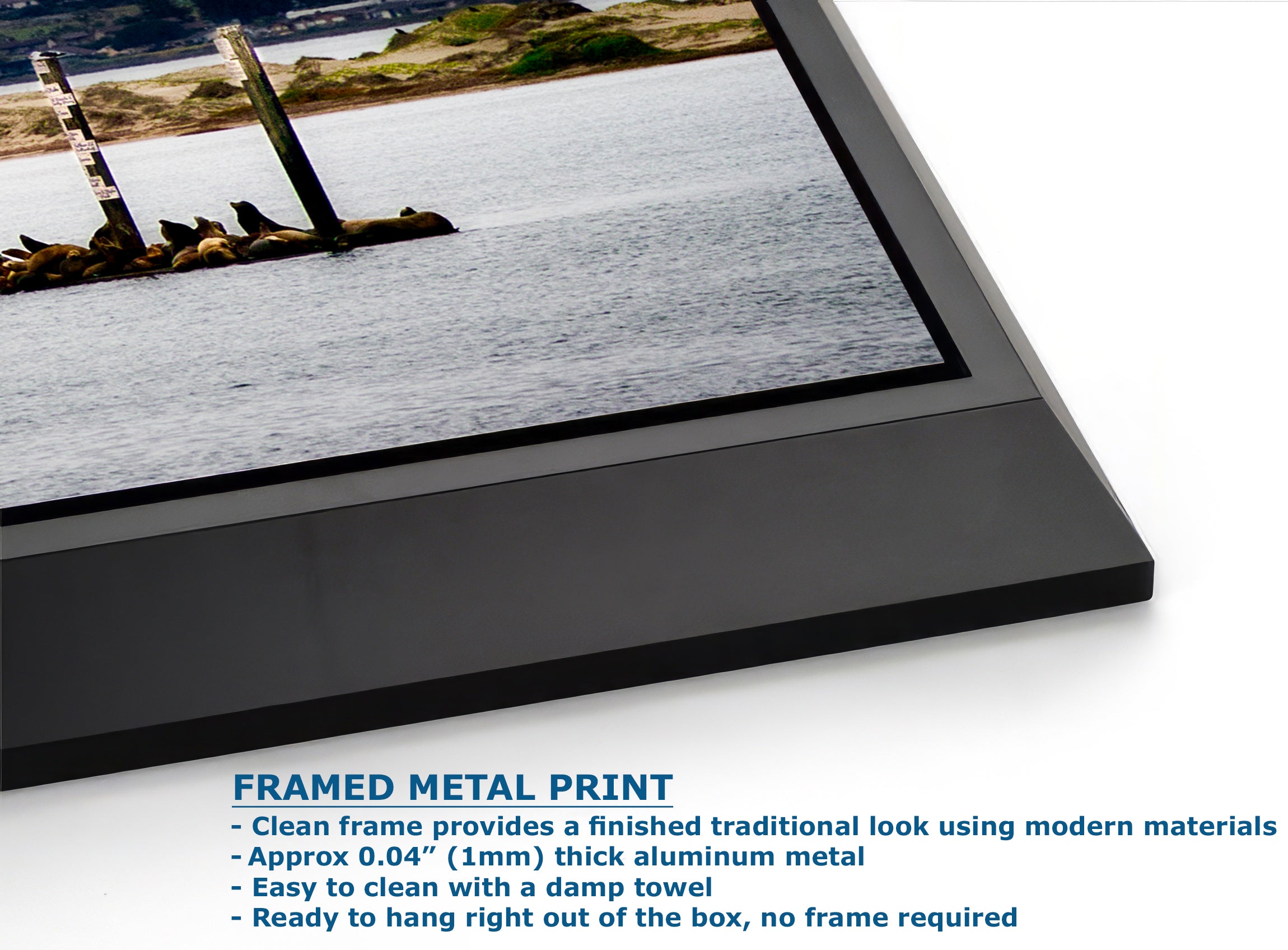 California Coastline Limited Edition Fine Art Print – Morro Bay Ocean Picture Nature Photo