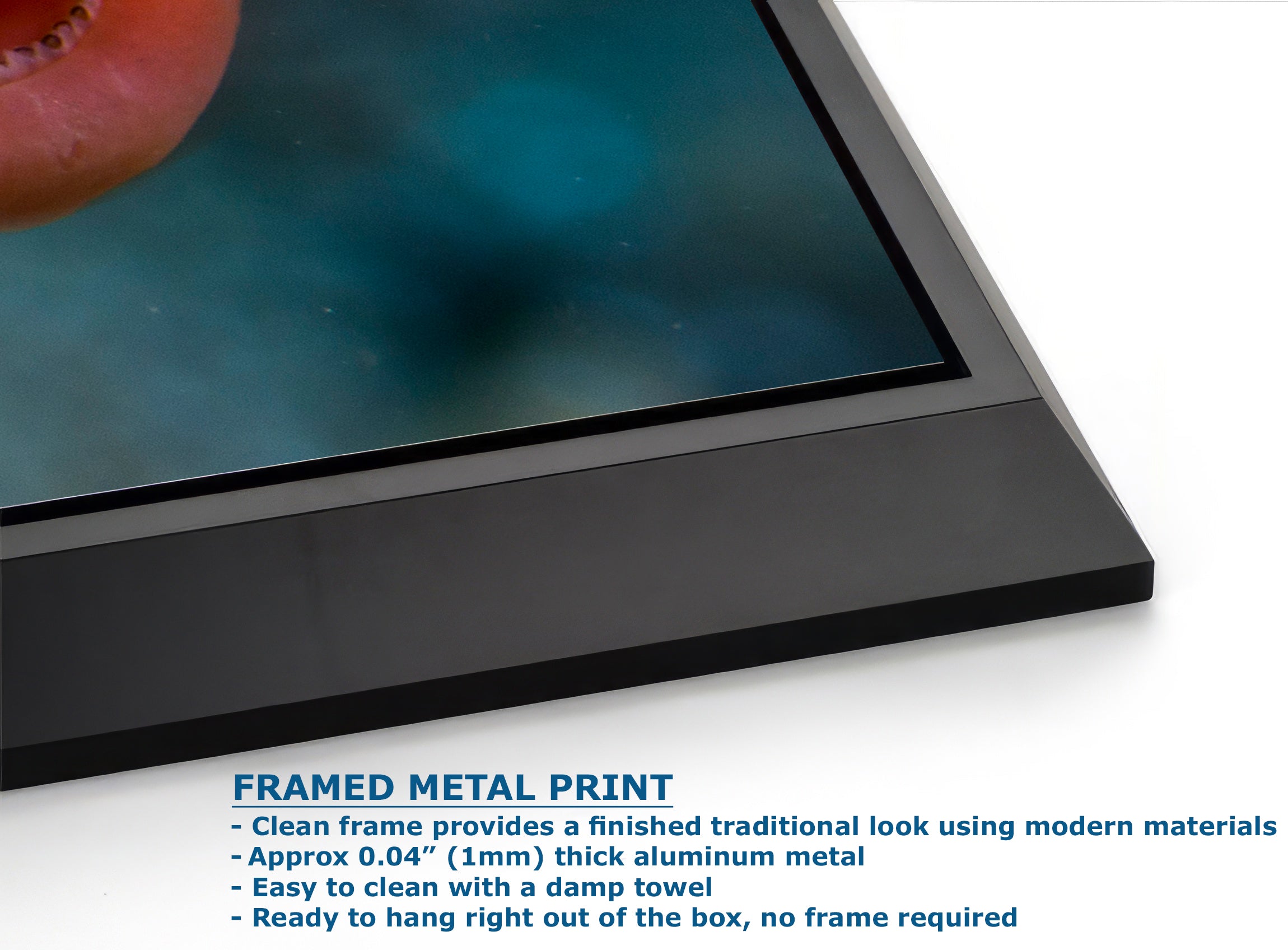 Garibaldi Fish Marine Biology Ocean Life, Underwater Scenery Nature Photo, California Marine Inhabitant, Nature Decor, Relaxation Artwork